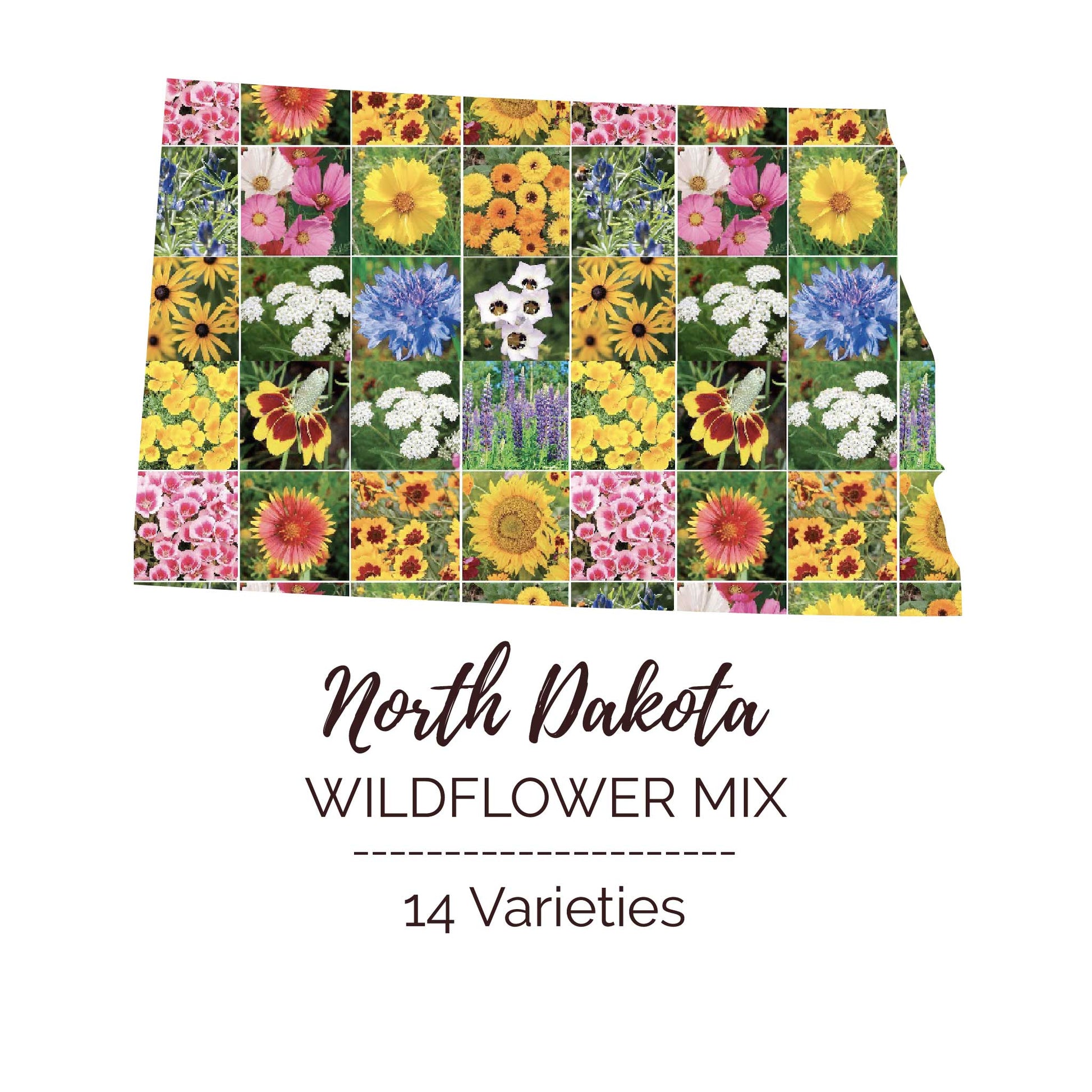 wildflower seeds free shipping North Dakota Wildflower Seed Mix