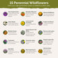 northeast all perennial contents