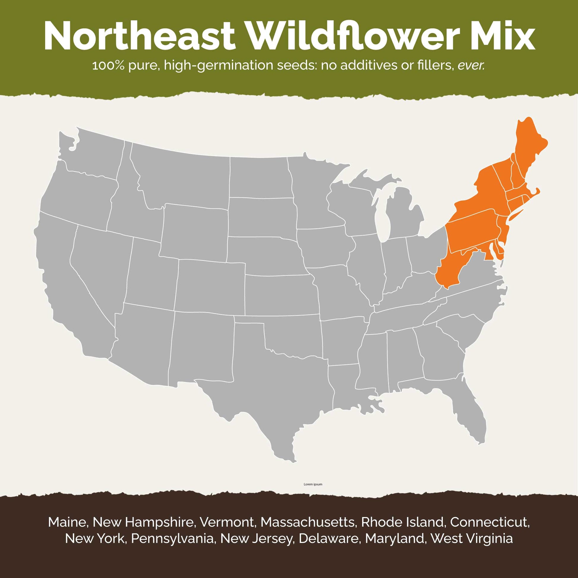 new hampshire wildflower seeds Bulk Northeast Wildflower Seed Mix 1 Pound