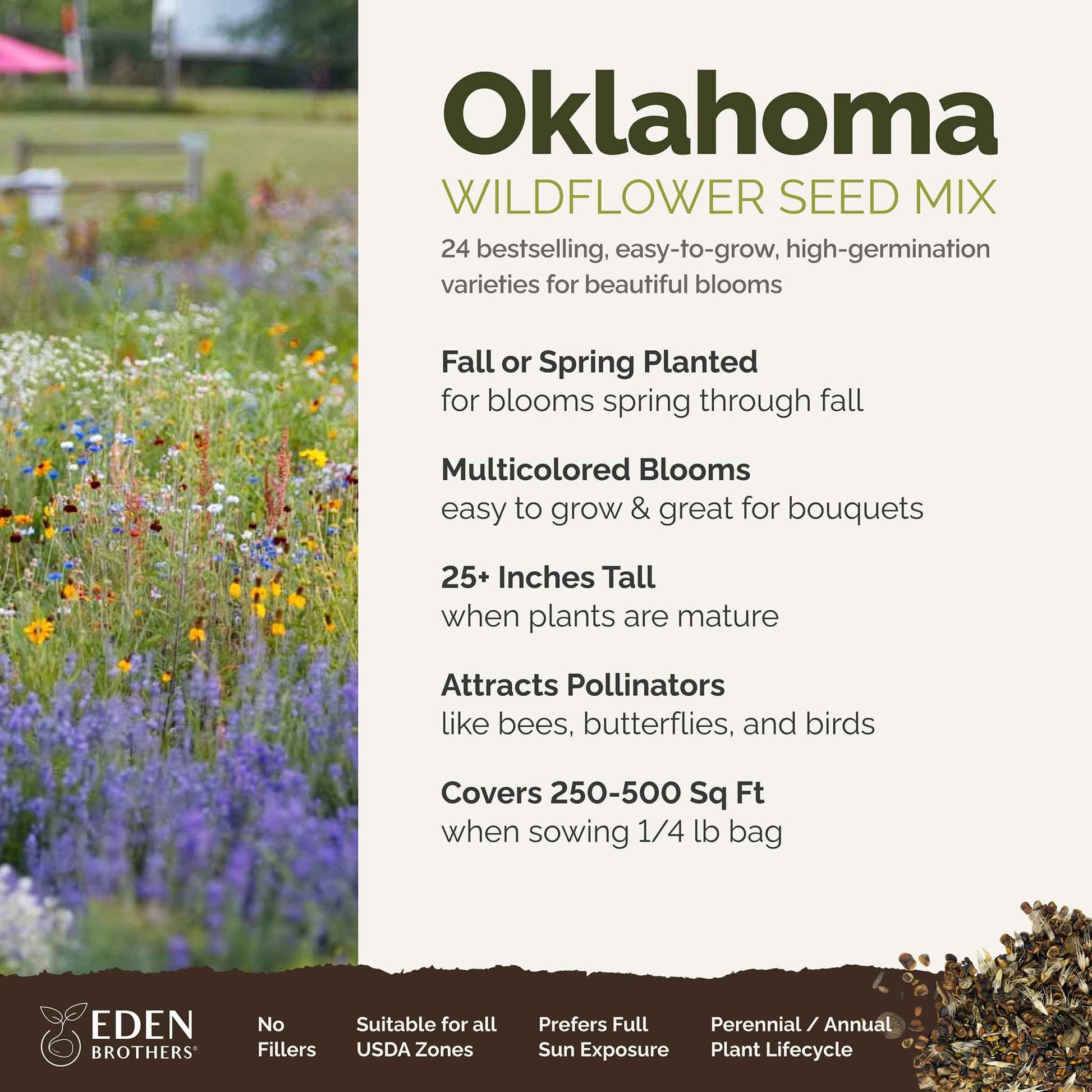 garden seeds for oklahoma Bulk Oklahoma Wildflower Seed Mix