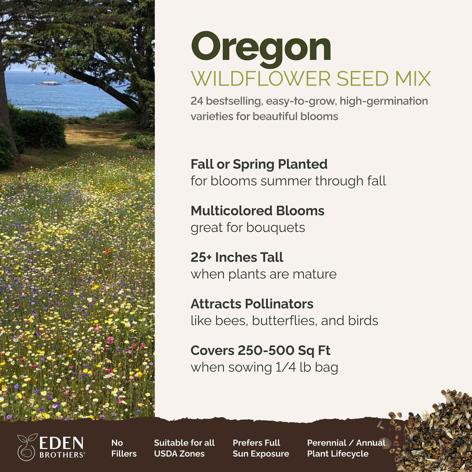 native oregon wildflower seeds Bulk Oregon Wildflower Seed Mix