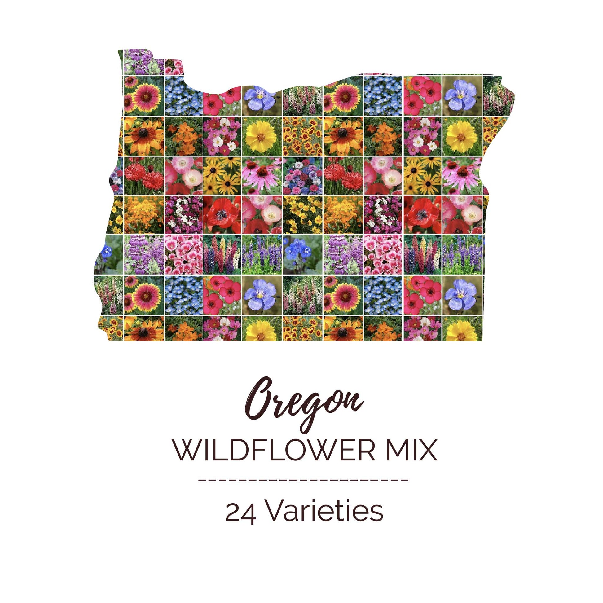 wildflower seeds pattern Bulk Oregon Wildflower Seed Mix