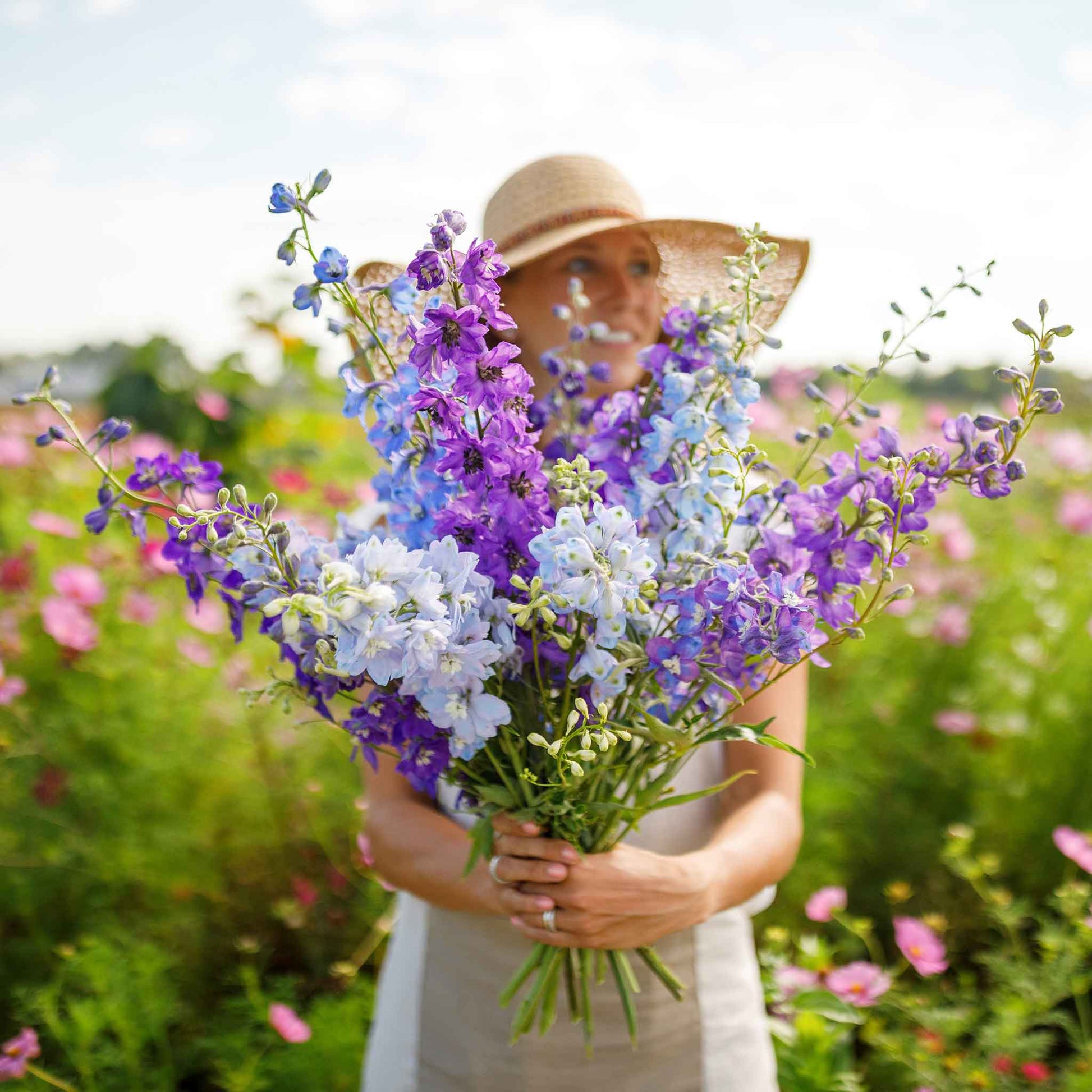 rocket larkspur tall mix