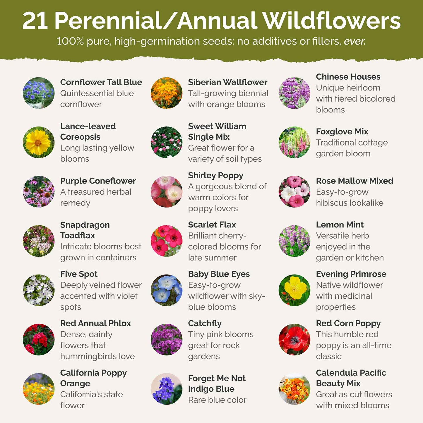 types of wildflower seeds Bulk Partial Shade Wildflower Seed Mix
