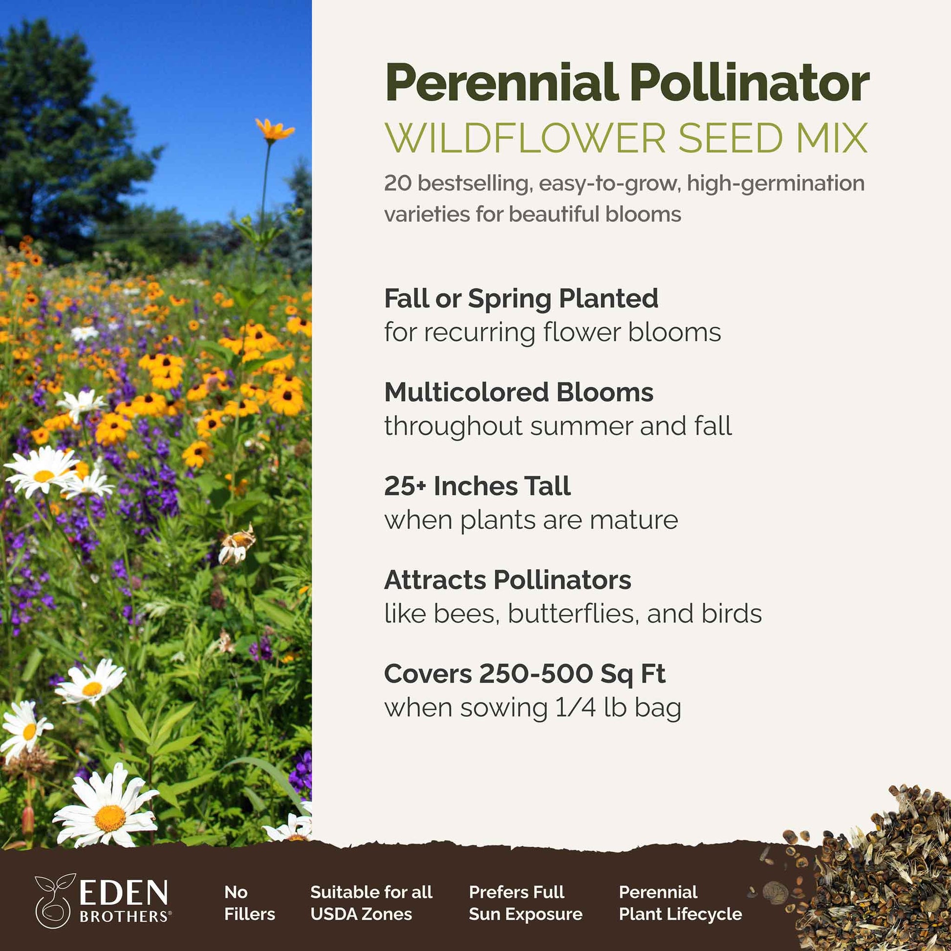 flower seeds for pollinators All Perennial - Pollinator Wildflower Mix | Wildflower Seeds