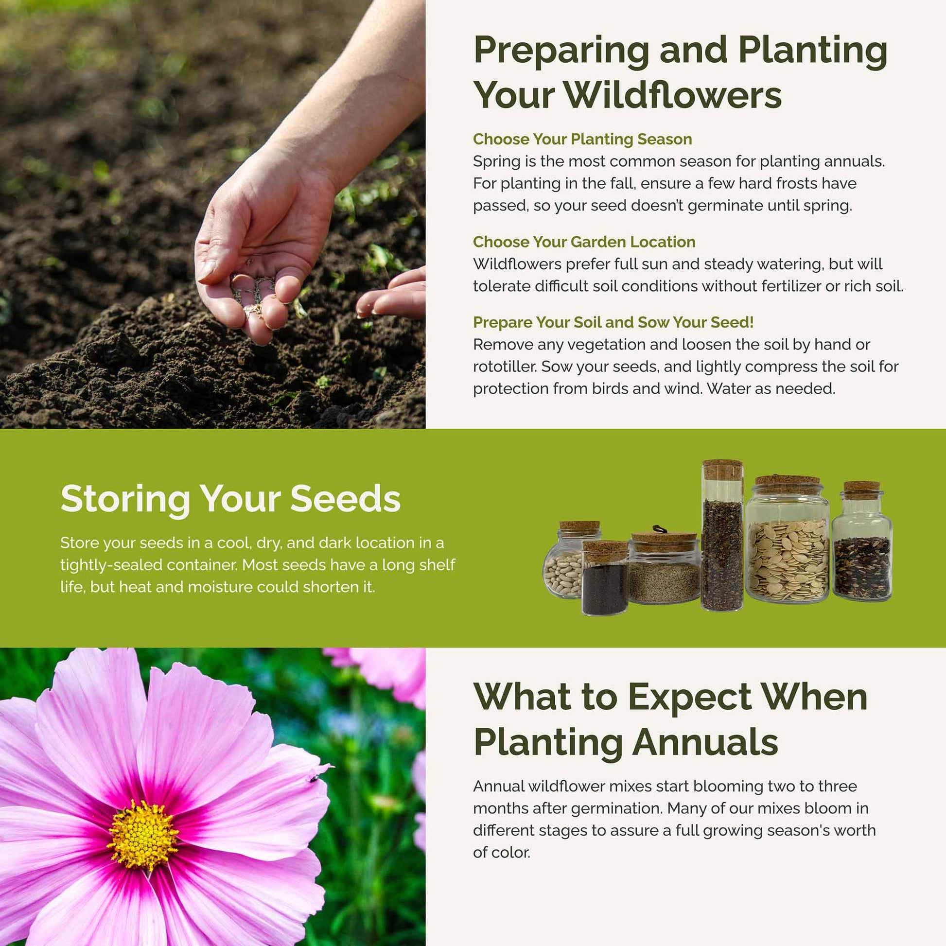 planting seeds before rain Bulk Purple & White Flower Seed Mix