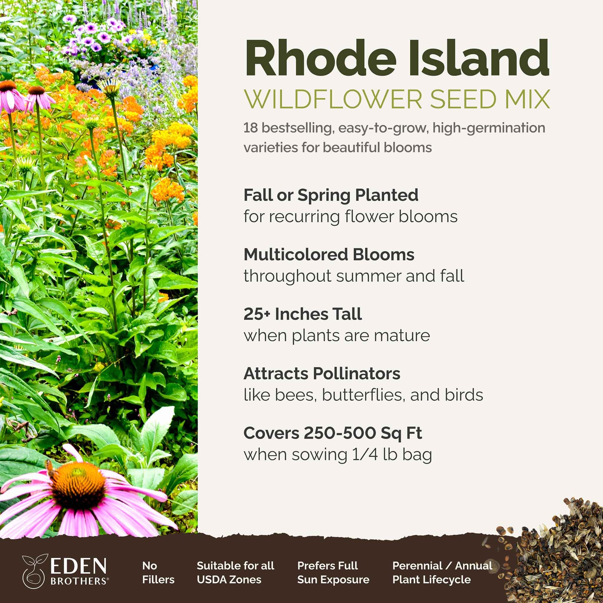 best time to plant grass seed in rhode island Rhode Island Wildflower Seed Mix