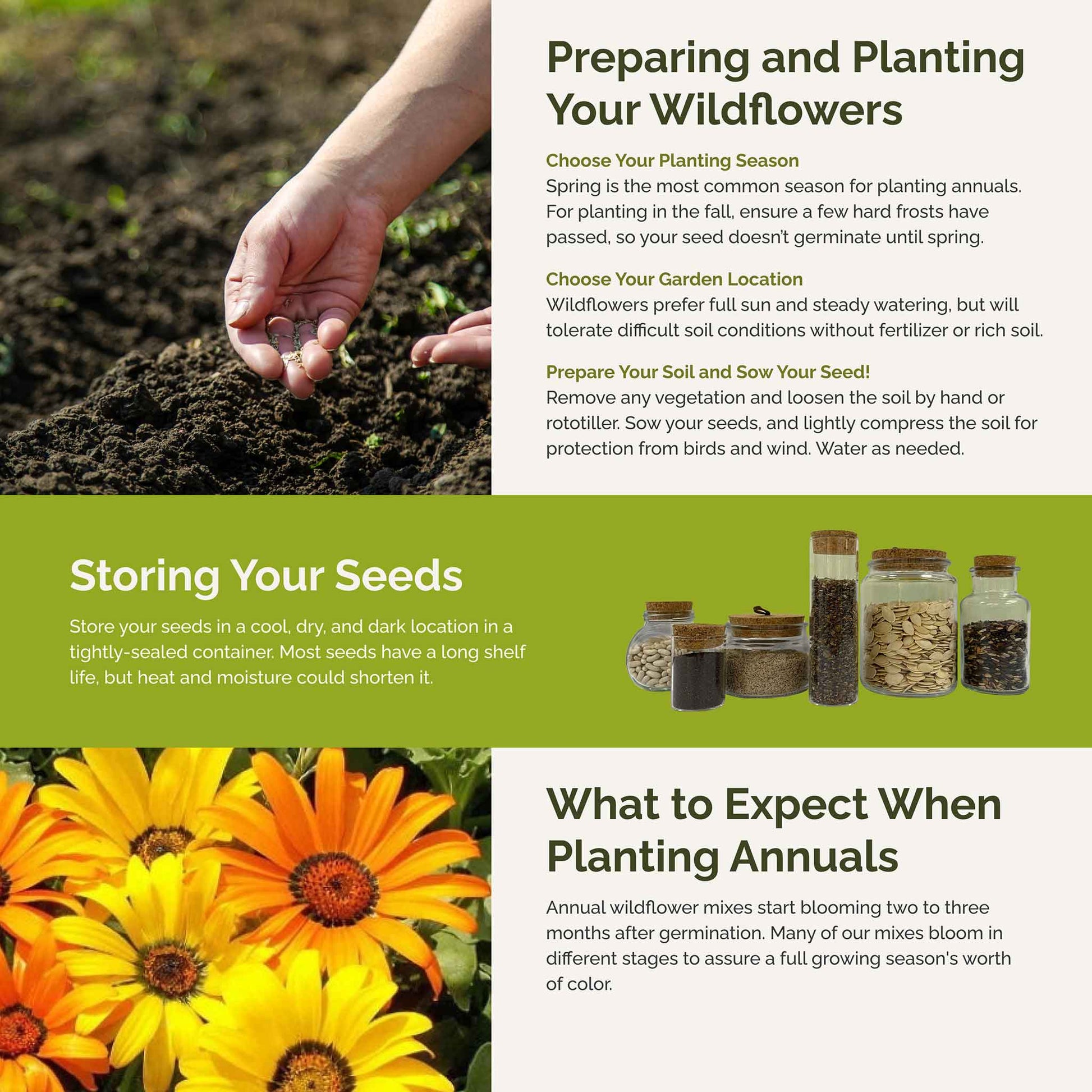 annual meadow flower seed mix Bulk Royal Meadow Flower Seed Mix