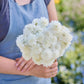 A person holding a bouquet of scabiosa snowmaiden flowers in a garden setting.