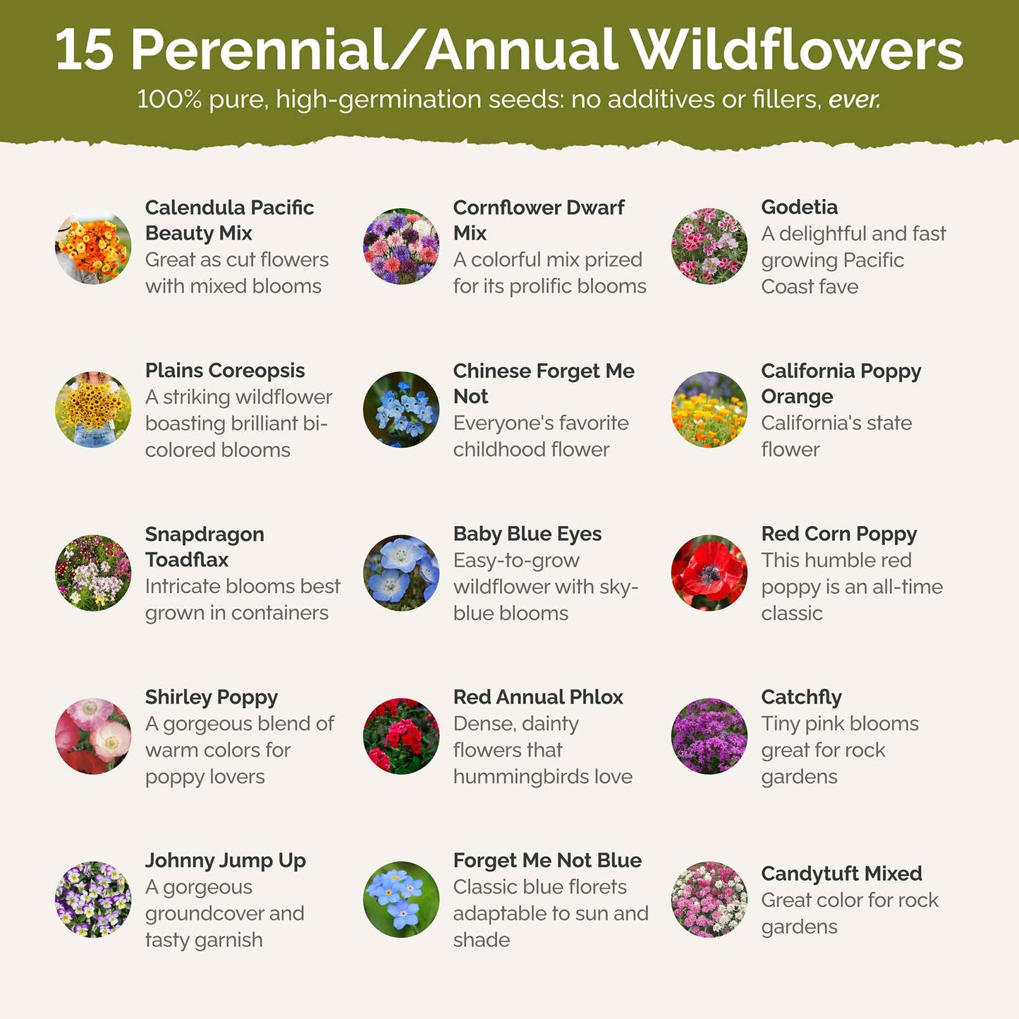 small wildflower seeds Bulk Shorty Low-Grow Wildflower Seed Mix 1/4 Pound