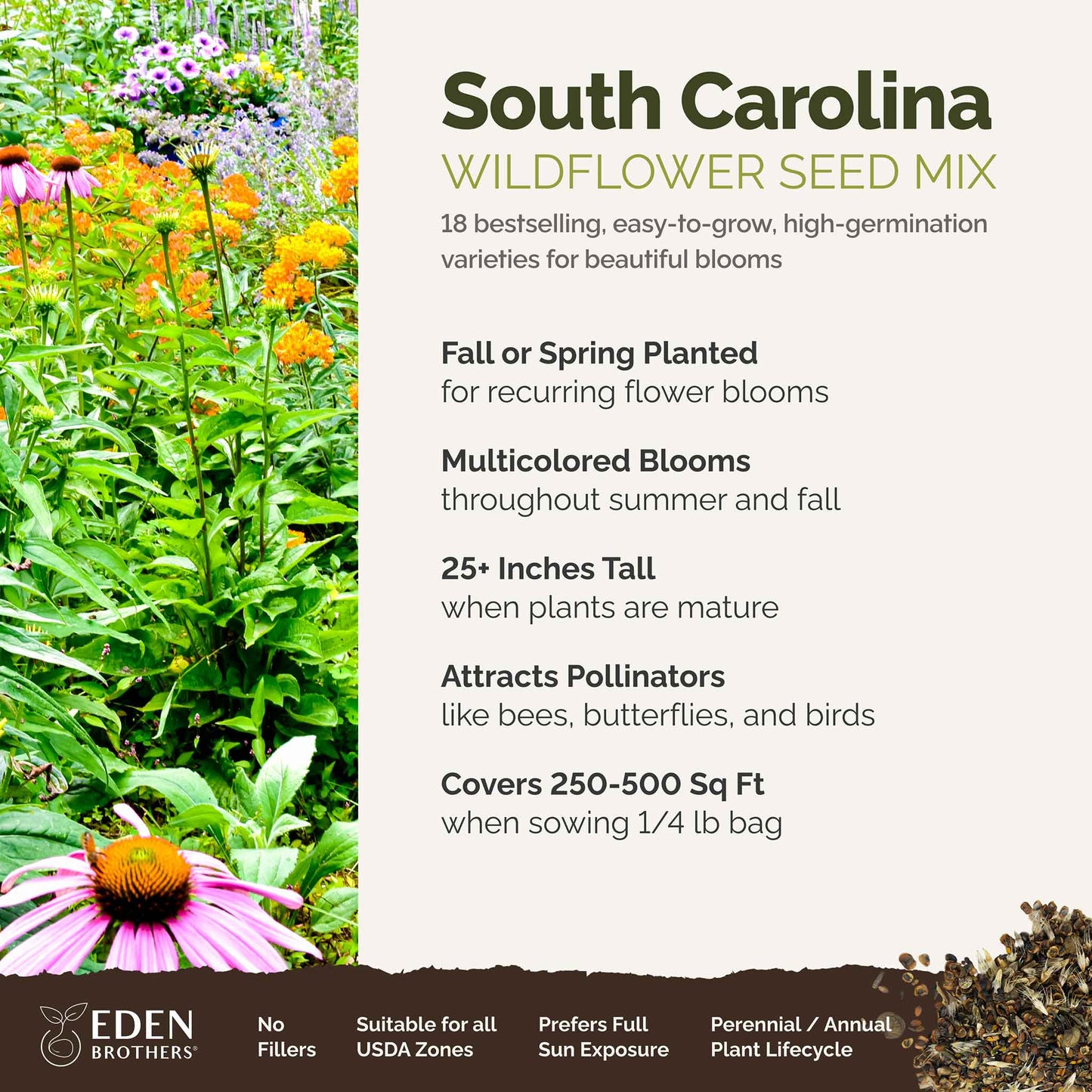 native wildflower seeds south carolina Bulk South Carolina Wildflower Seed Mix 1/4 Pound