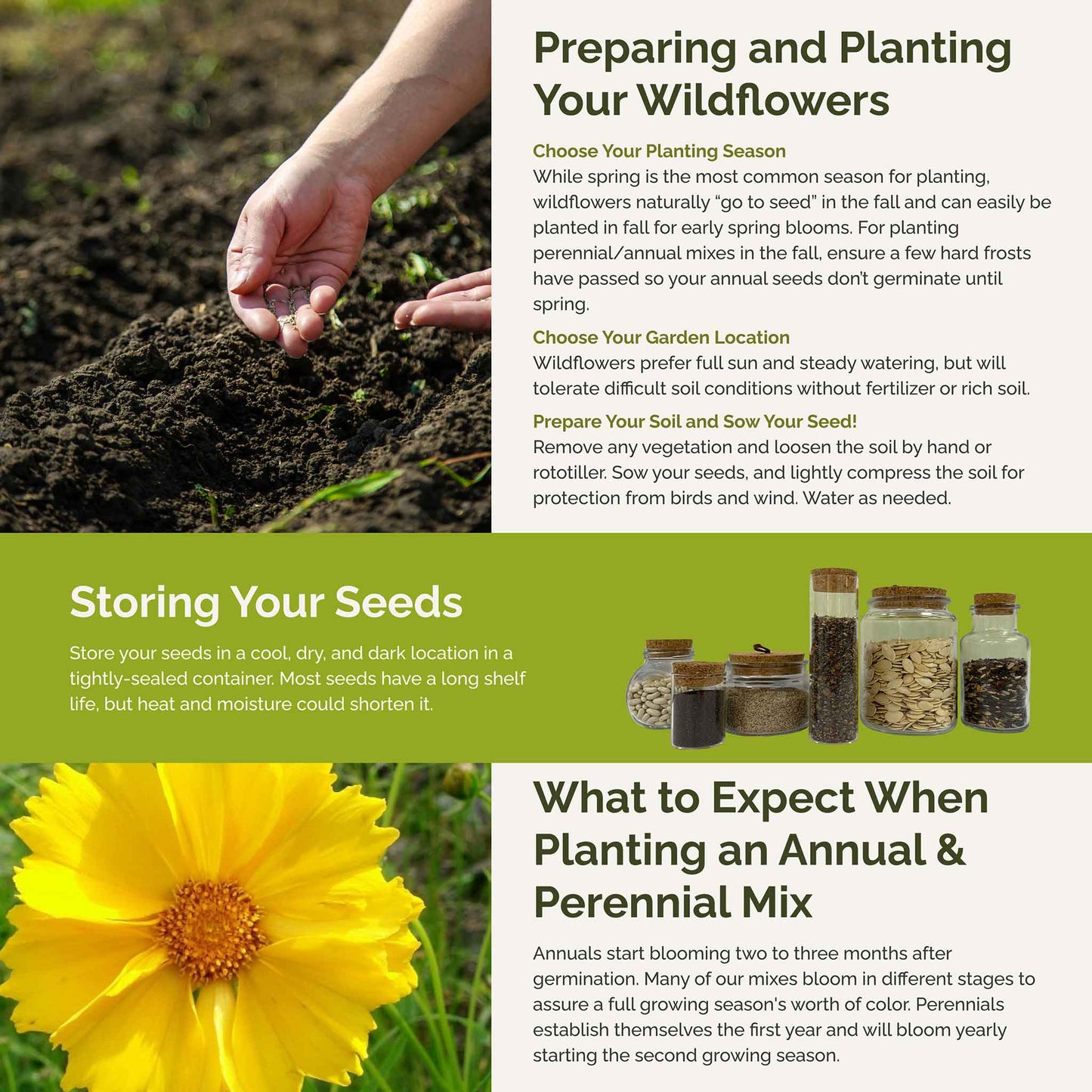 native wildflower seeds south carolina Bulk South Carolina Wildflower Seed Mix 1/4 Pound