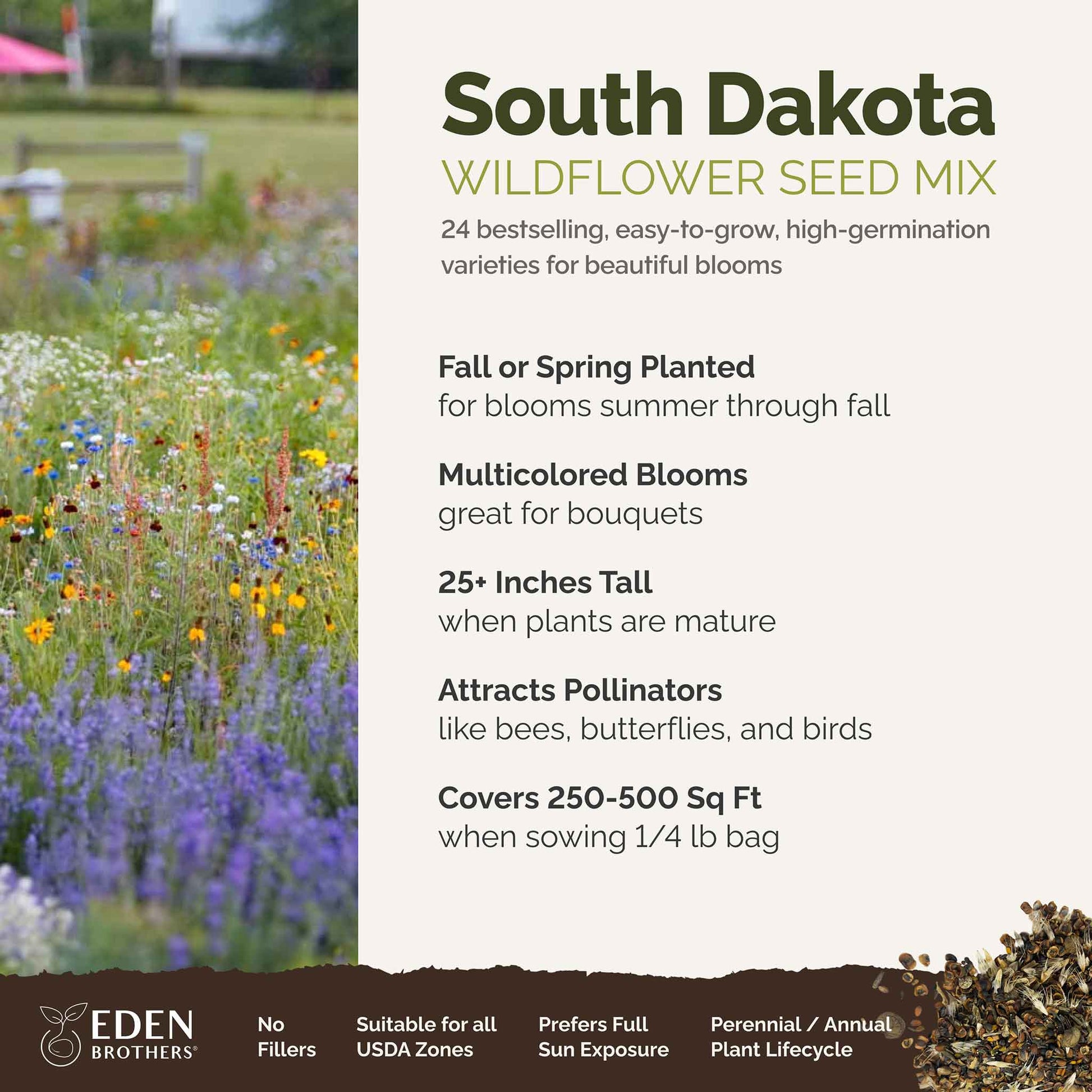 wildflower seeds philippines South Dakota Wildflower Seed Mix