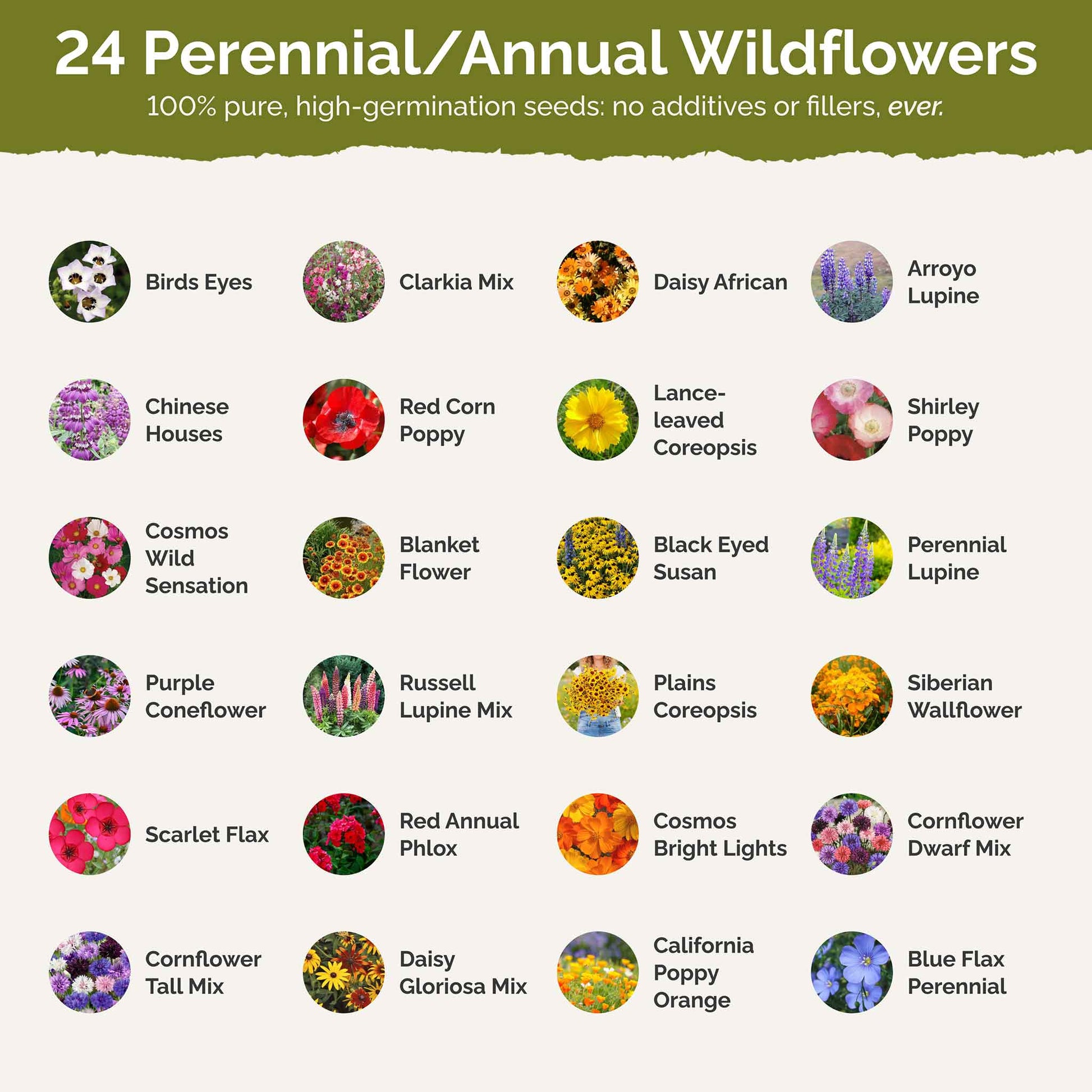 southwest wildflower seed mix Bulk Southwest Wildflower Seed Mix 50 Pounds