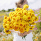 A close-up of a vibrant golden-yellow strawflower with delicate petals, showcasing its intricate texture.