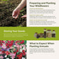 sweetie planting