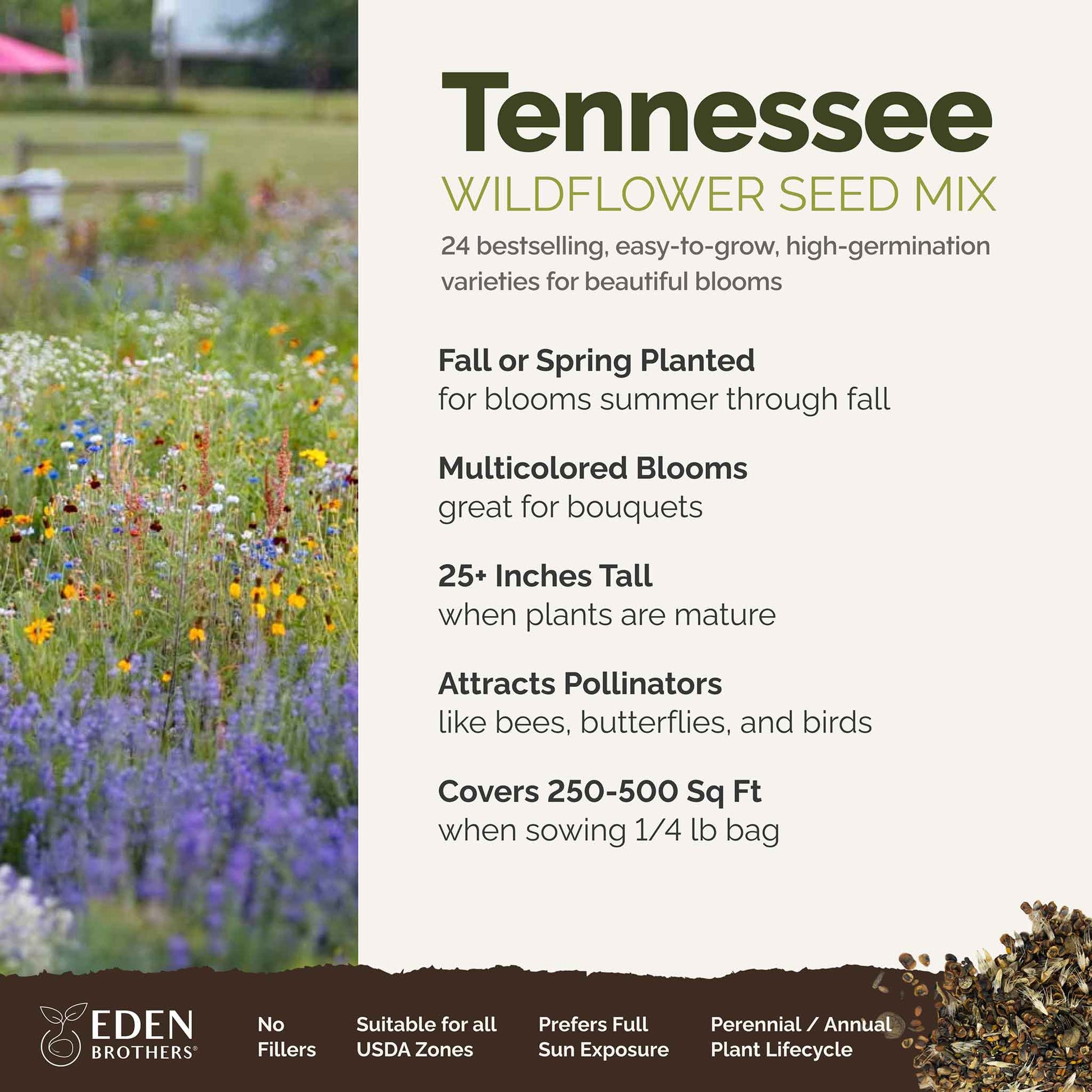 free wild flower seeds 2023 Bulk Tennessee Wildflower Seed Mix
