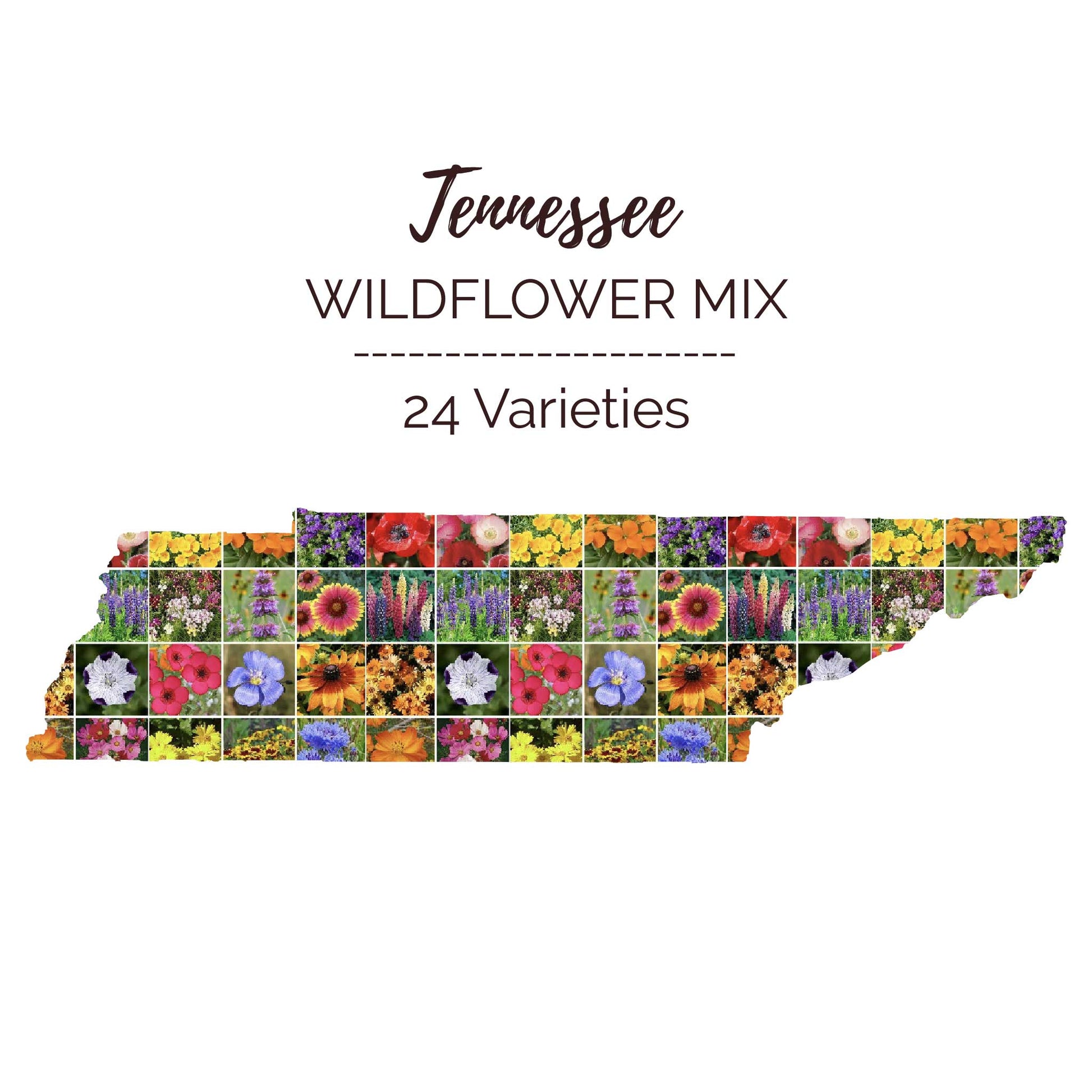 free wild flower seeds 2023 Bulk Tennessee Wildflower Seed Mix