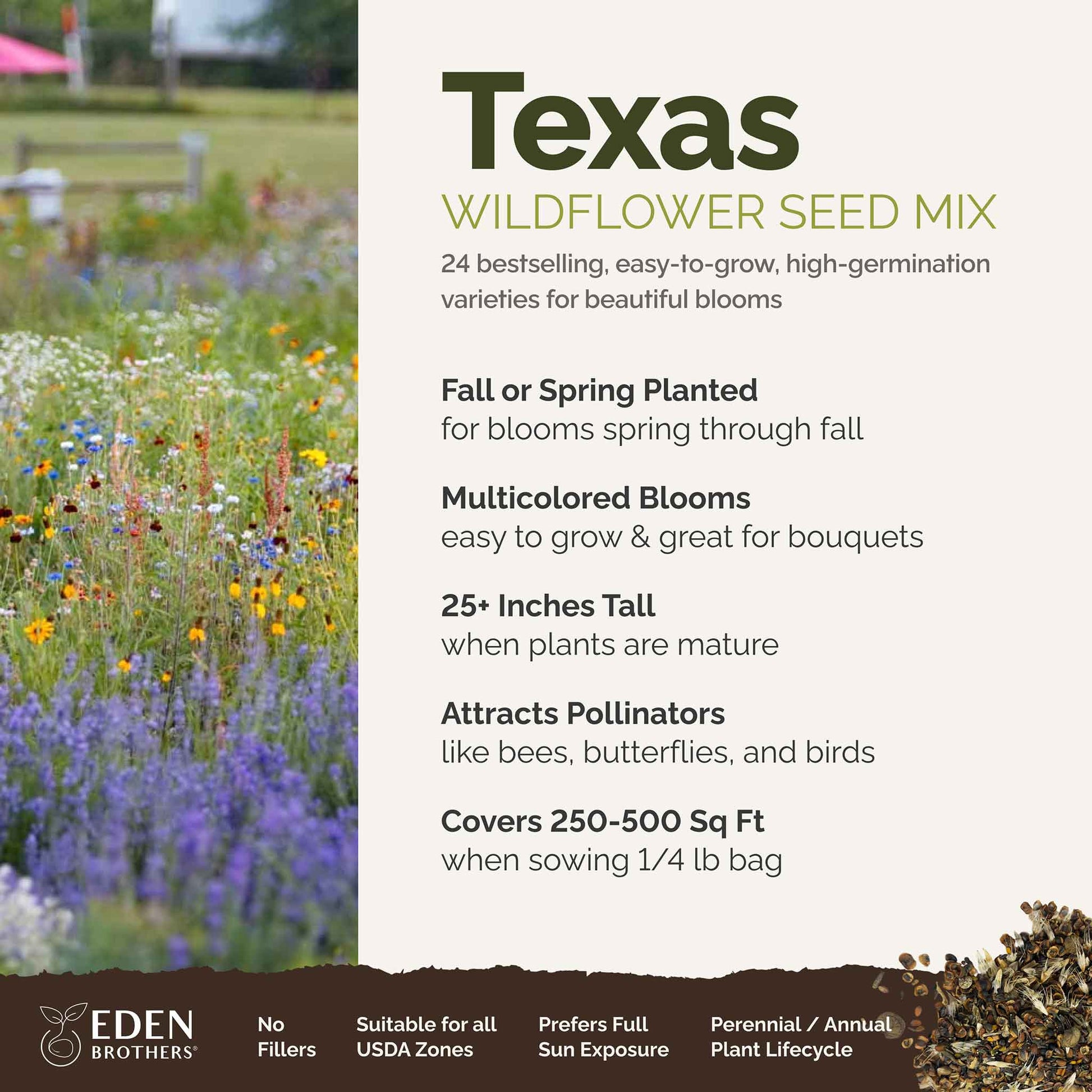 free wildflower seeds - texas Bulk Texas Wildflower Seed Mix