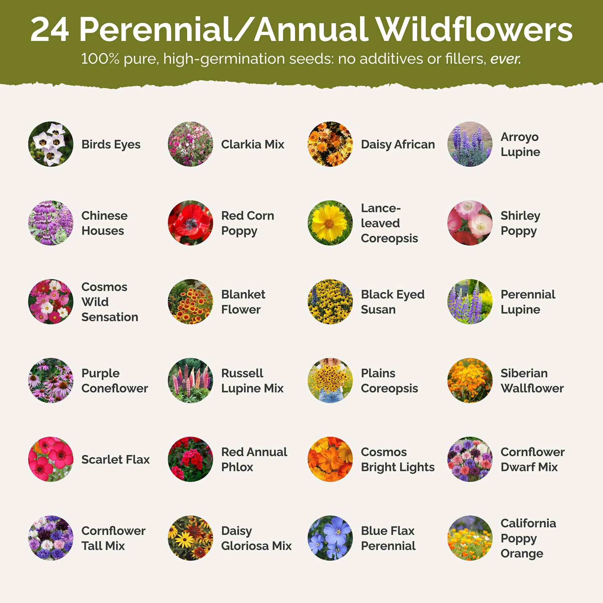 texas tested seeds and plants Bulk Texas Wildflower Seed Mix