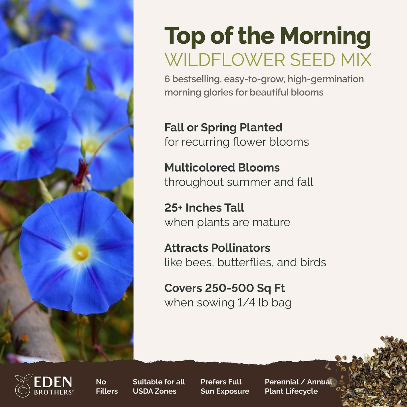 Bulk Morning Glory Flower Seed Mix Bulk Wildflowers