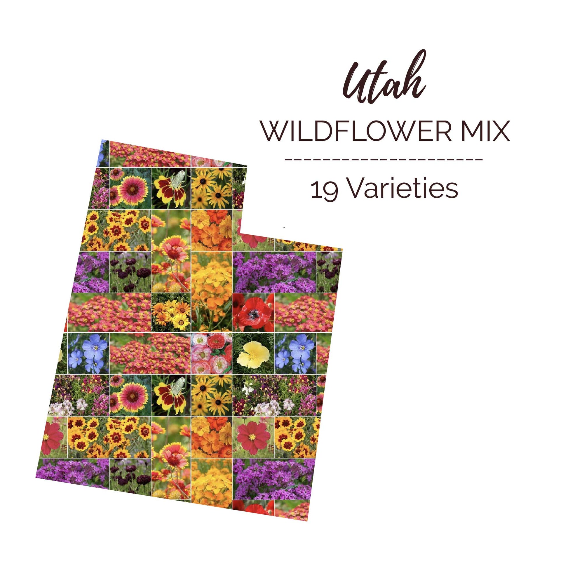 garden seeds utah Utah Wildflower Seed Mix