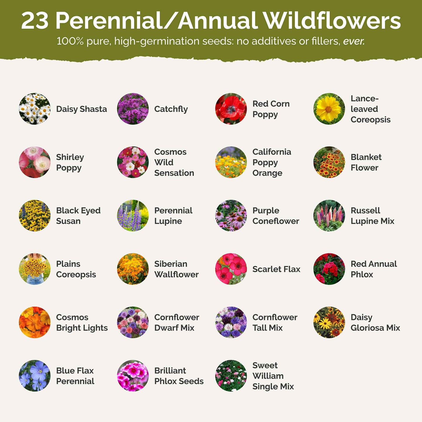 best company for wildflower seeds Bulk Vermont Wildflower Seed Mix