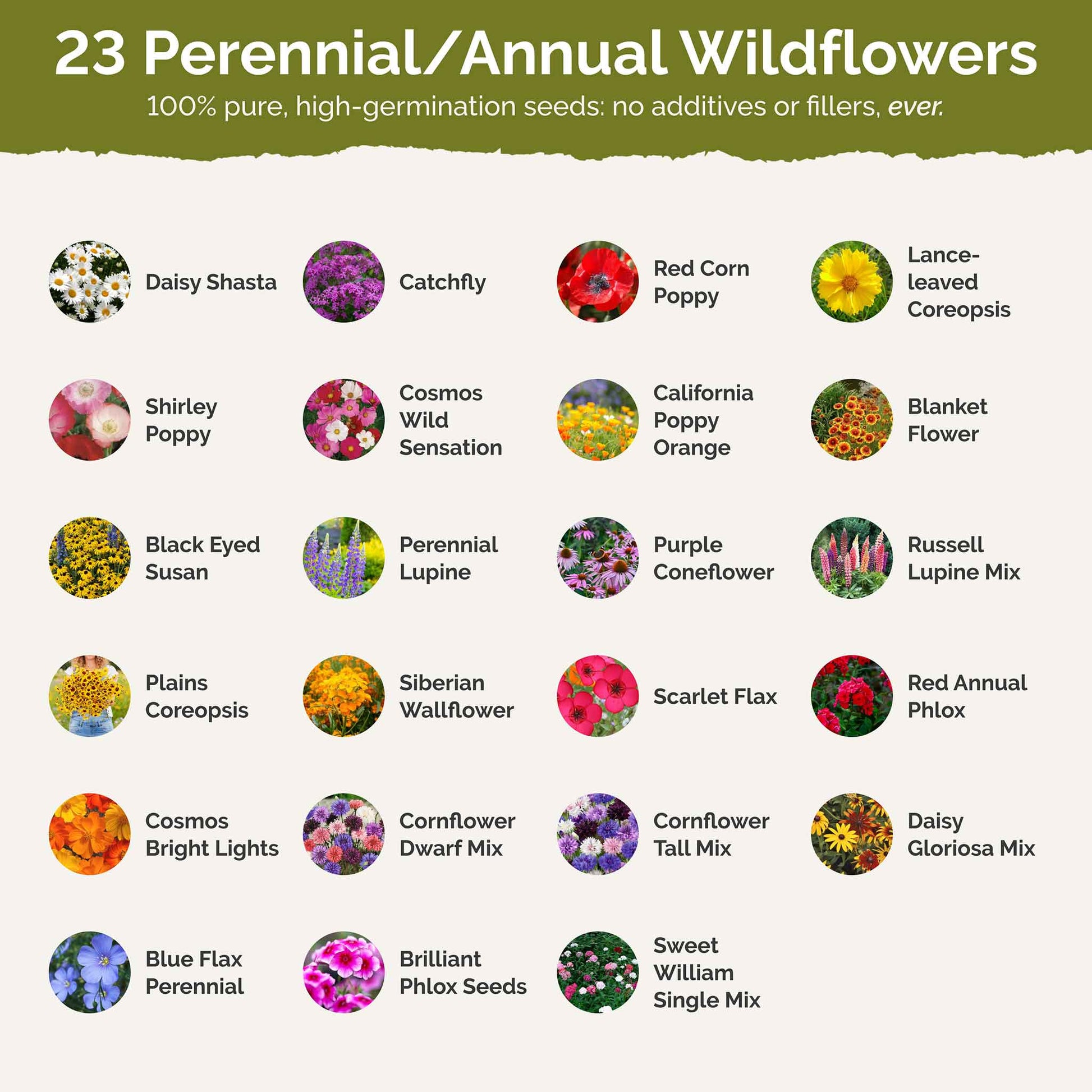 vermont flower seeds Bulk Vermont Wildflower Seed Mix