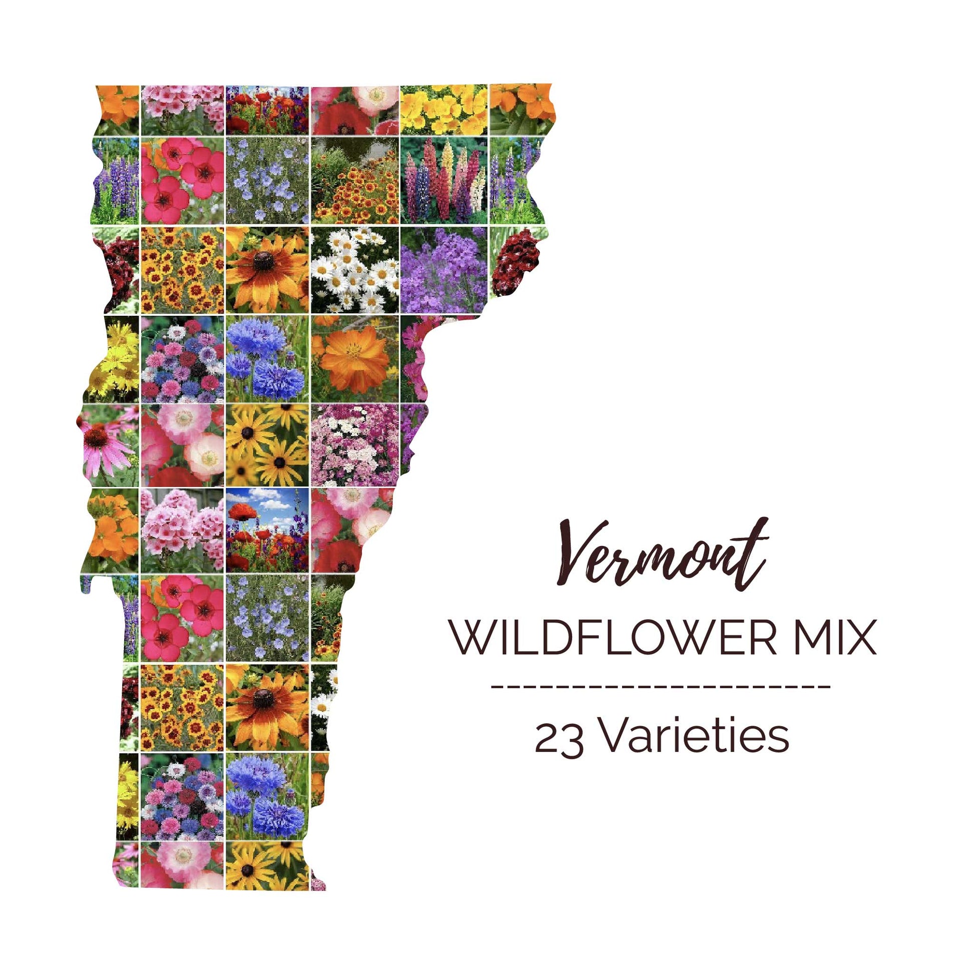 vermont wildflower seed mix Bulk Vermont Wildflower Seed Mix