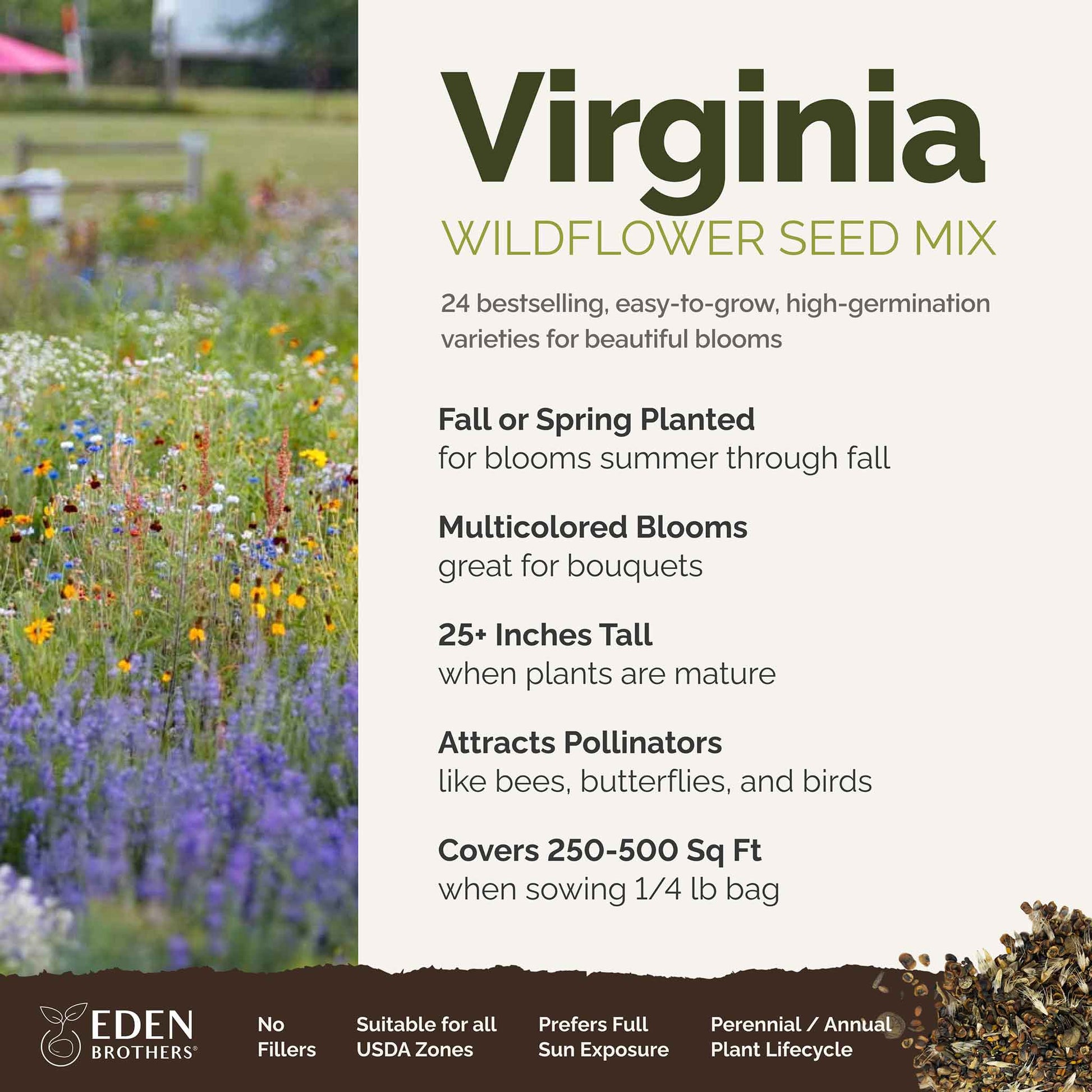 best time to plant wildflowers seeds Bulk Virginia Wildflower Seed Mix
