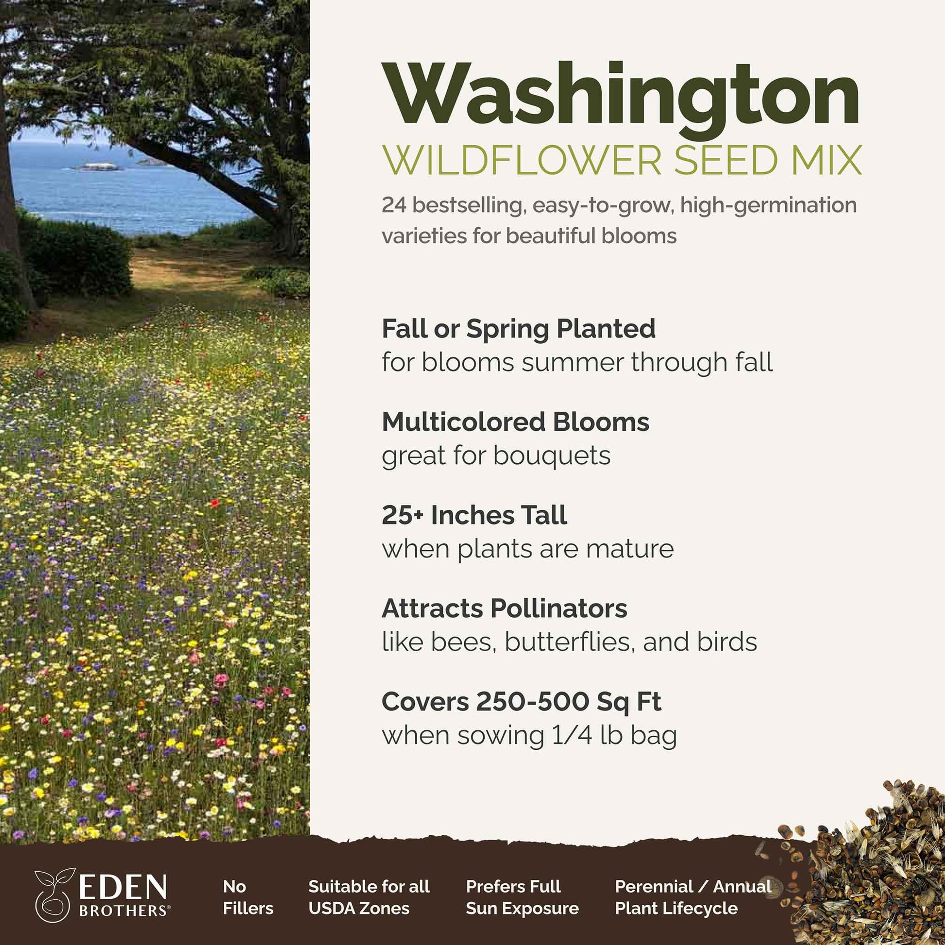 washington native wildflower seeds Bulk Washington Wildflower Seed Mix