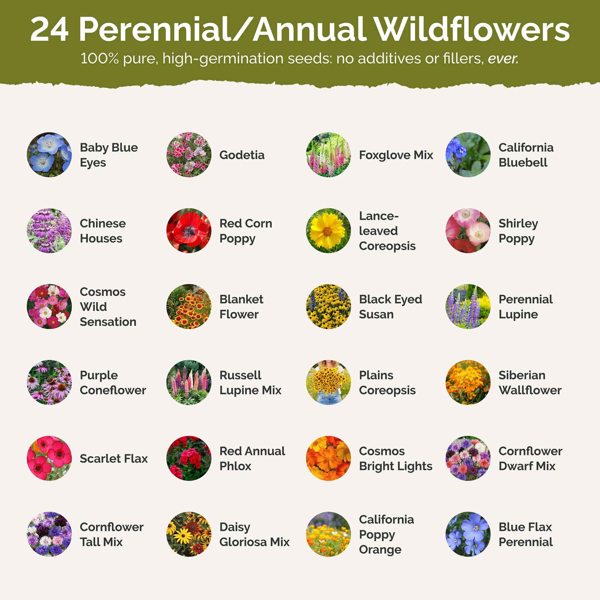 flower seeds washington state Bulk Washington Wildflower Seed Mix