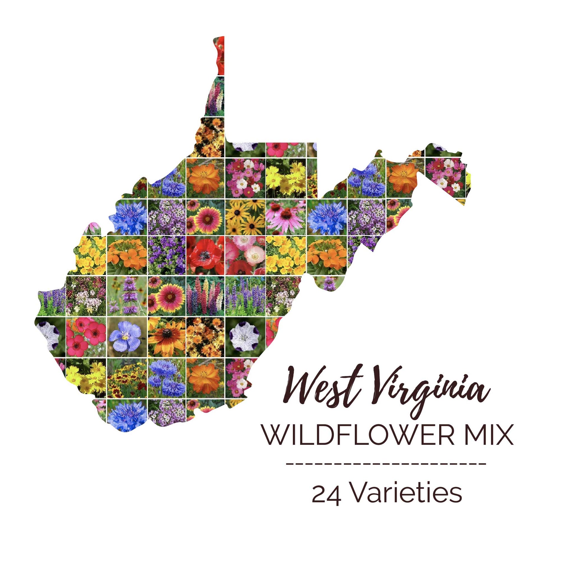virginia wildflowers seeds Bulk West Virginia Wildflower Seed Mix 1 Ounce