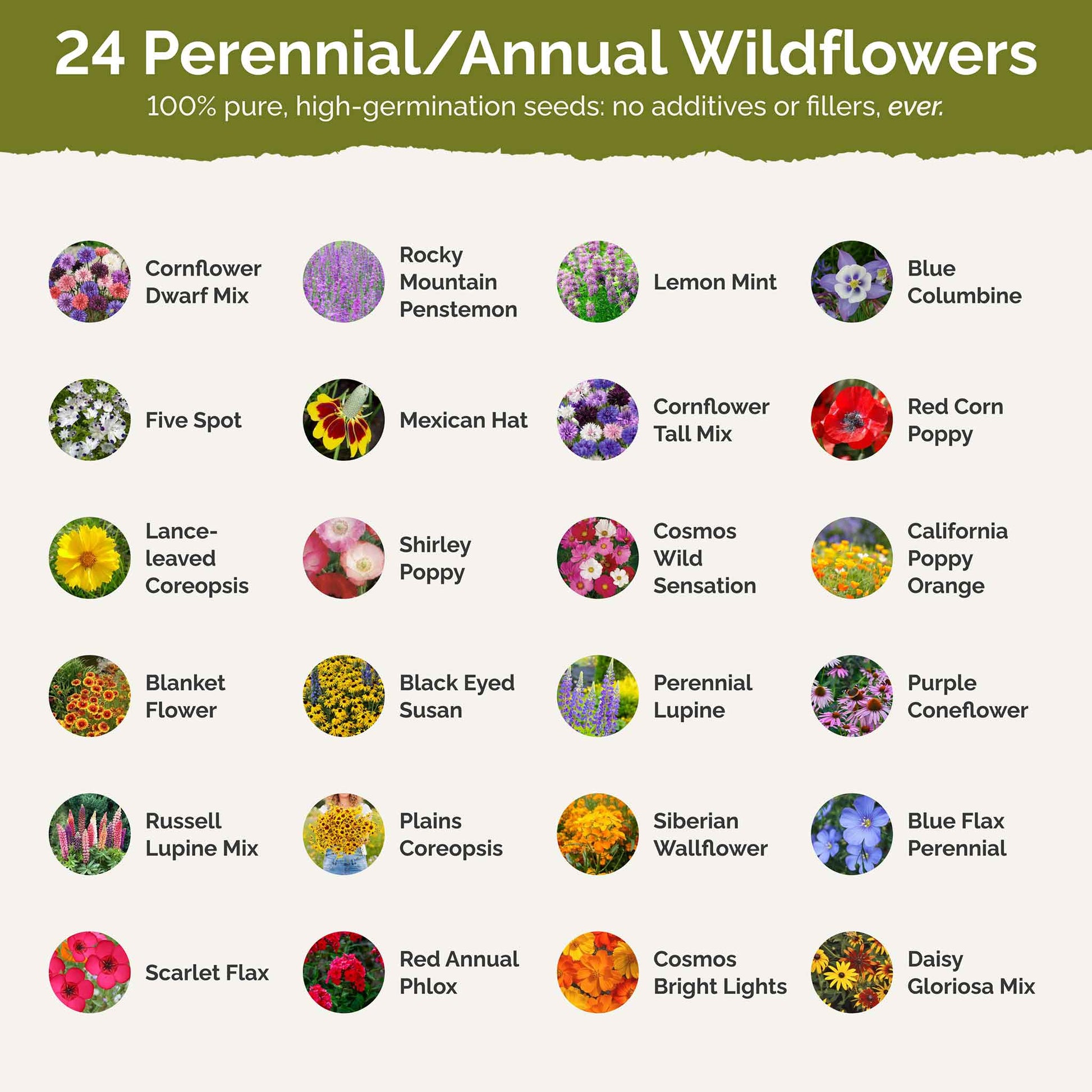 western wildflower seed mix Bulk Western Wildflower Seed Mix 25 Pounds