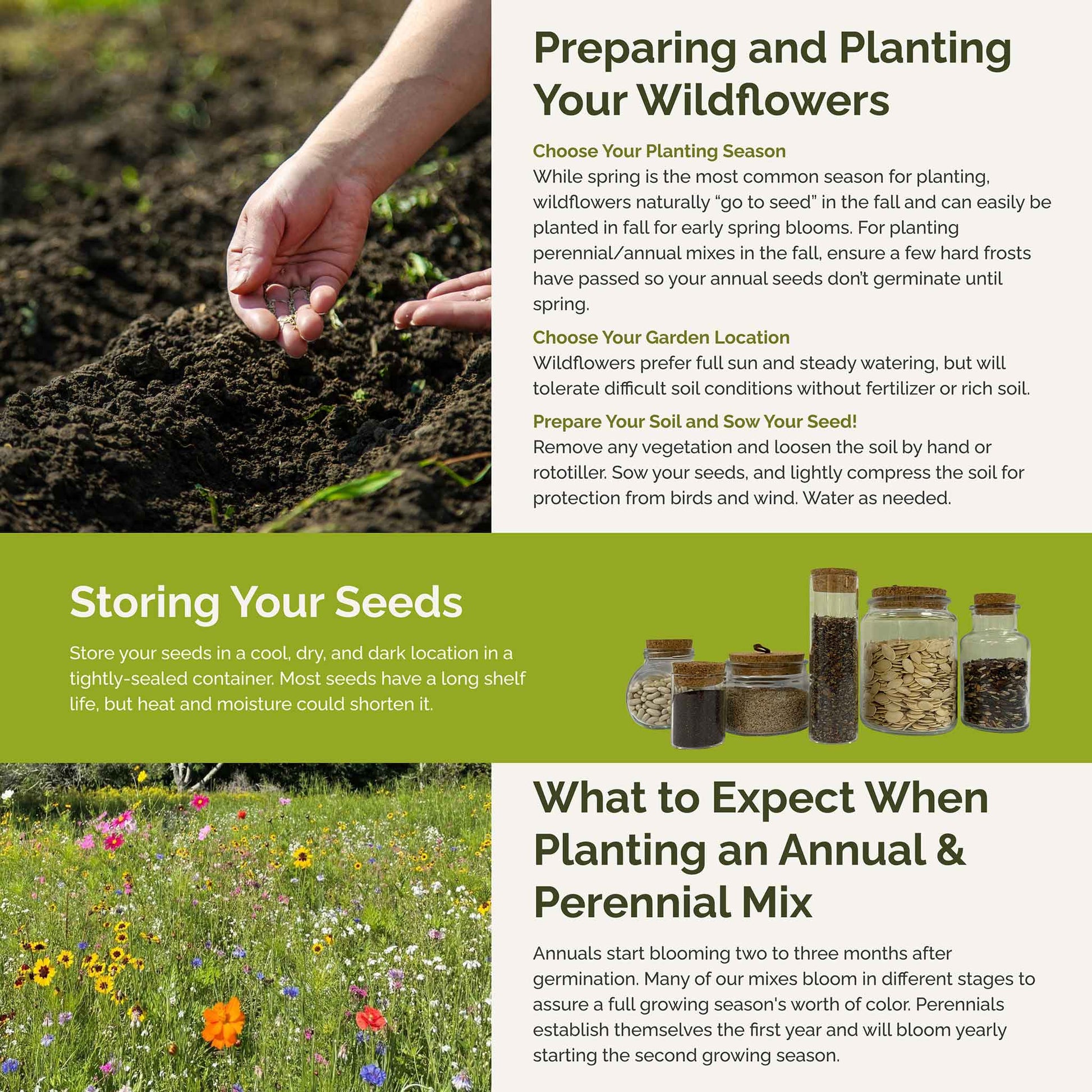 western wildflower seeds Bulk Western Wildflower Seed Mix 25 Pounds