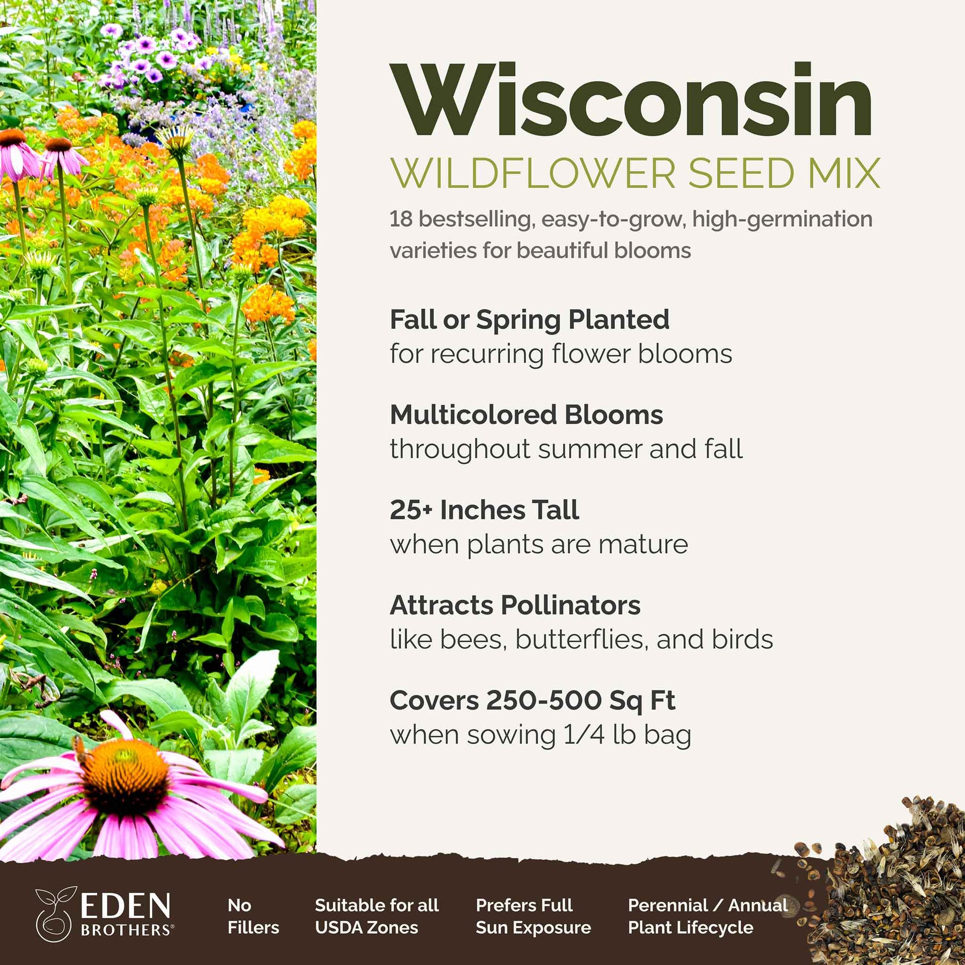 zone 5 wildflower seed mix Wisconsin Wildflower Seed Mix