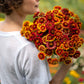 zinnia aztec mix