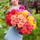 A woman holding a bouquet of benary giant mix zinnia flowers with green leaves in the background.