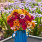 A bouquet of zinnia cresto fieldgrown mix in a blue vase with a blurred background.