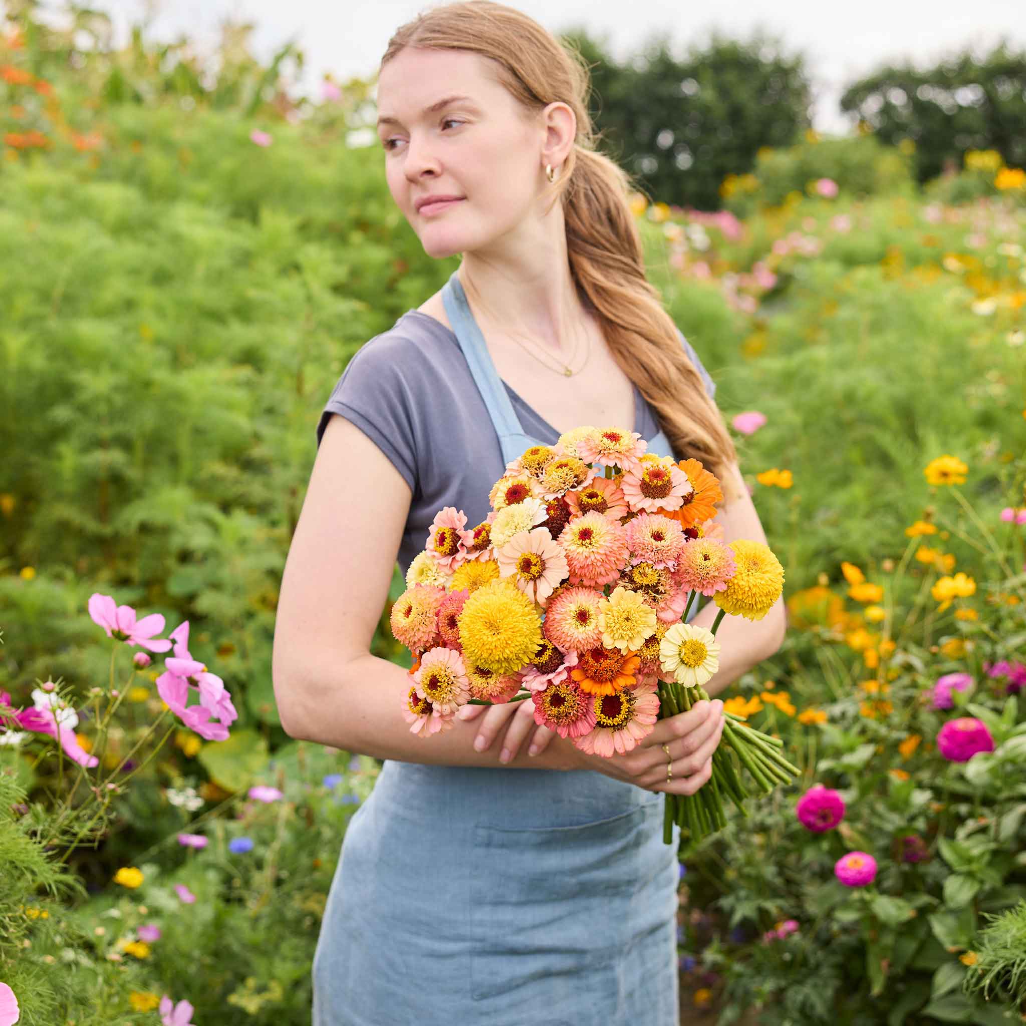 Bulk Zinnia Seeds - Cresto! Peaches and Cream | Bulk Wildflowers