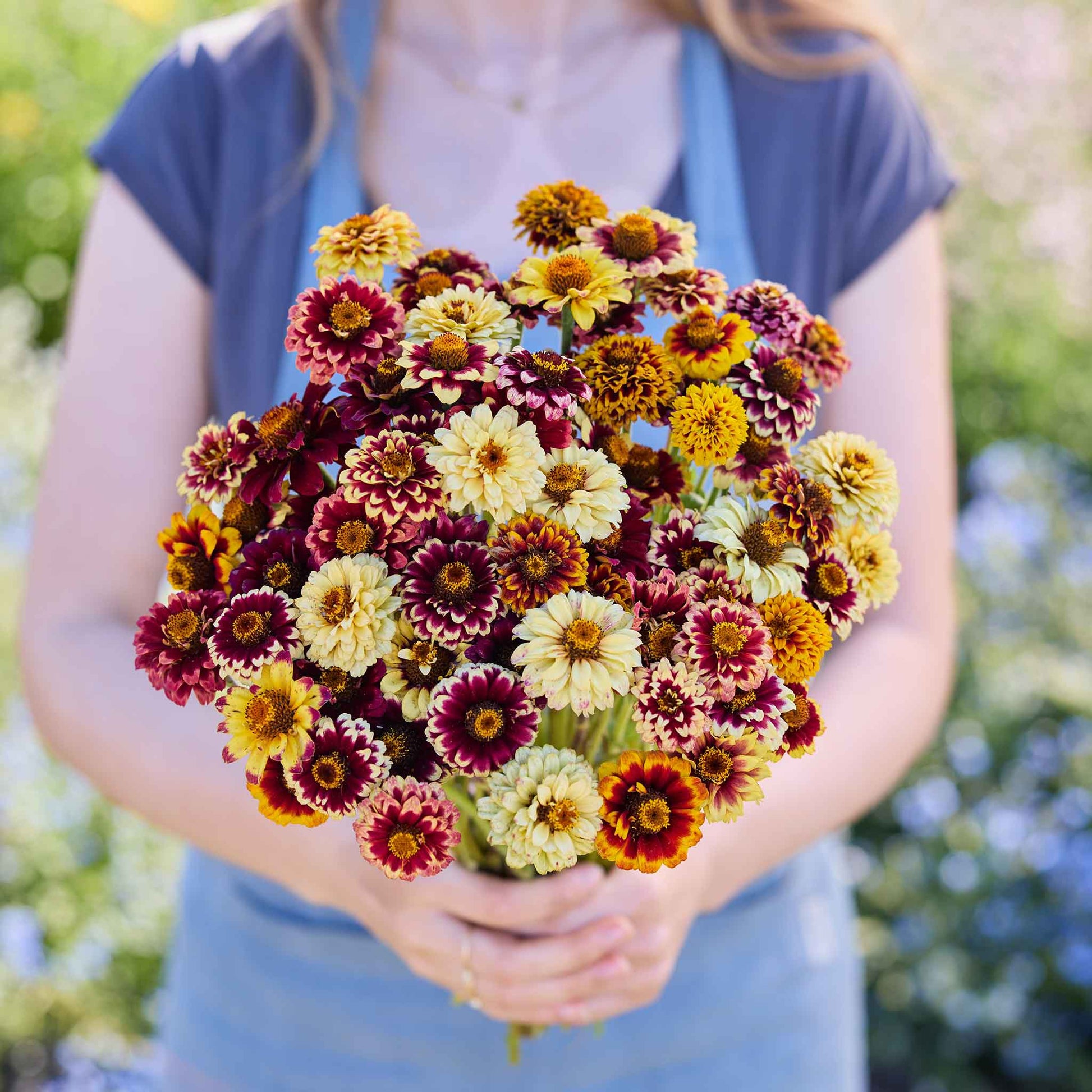 bulk zinnia flower seeds Bulk Zinnia Seeds