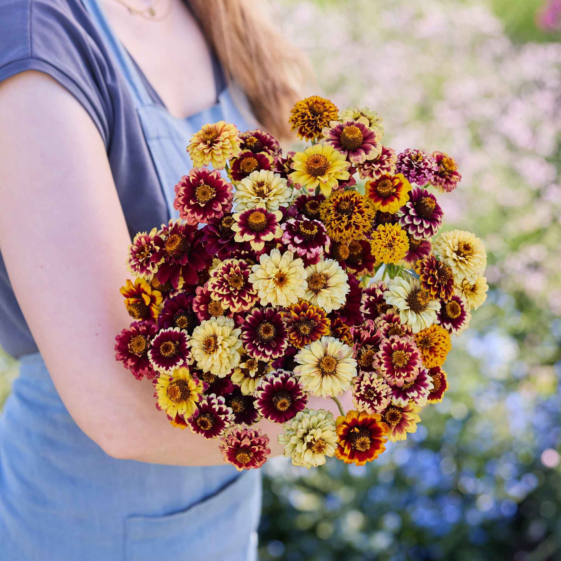plant zinnia seeds outdoors Bulk Zinnia Seeds