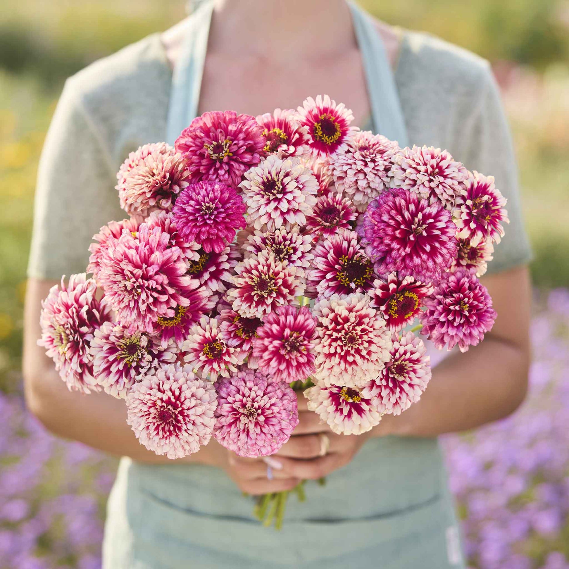plant seeds free shipping Bulk Zinnia Seeds