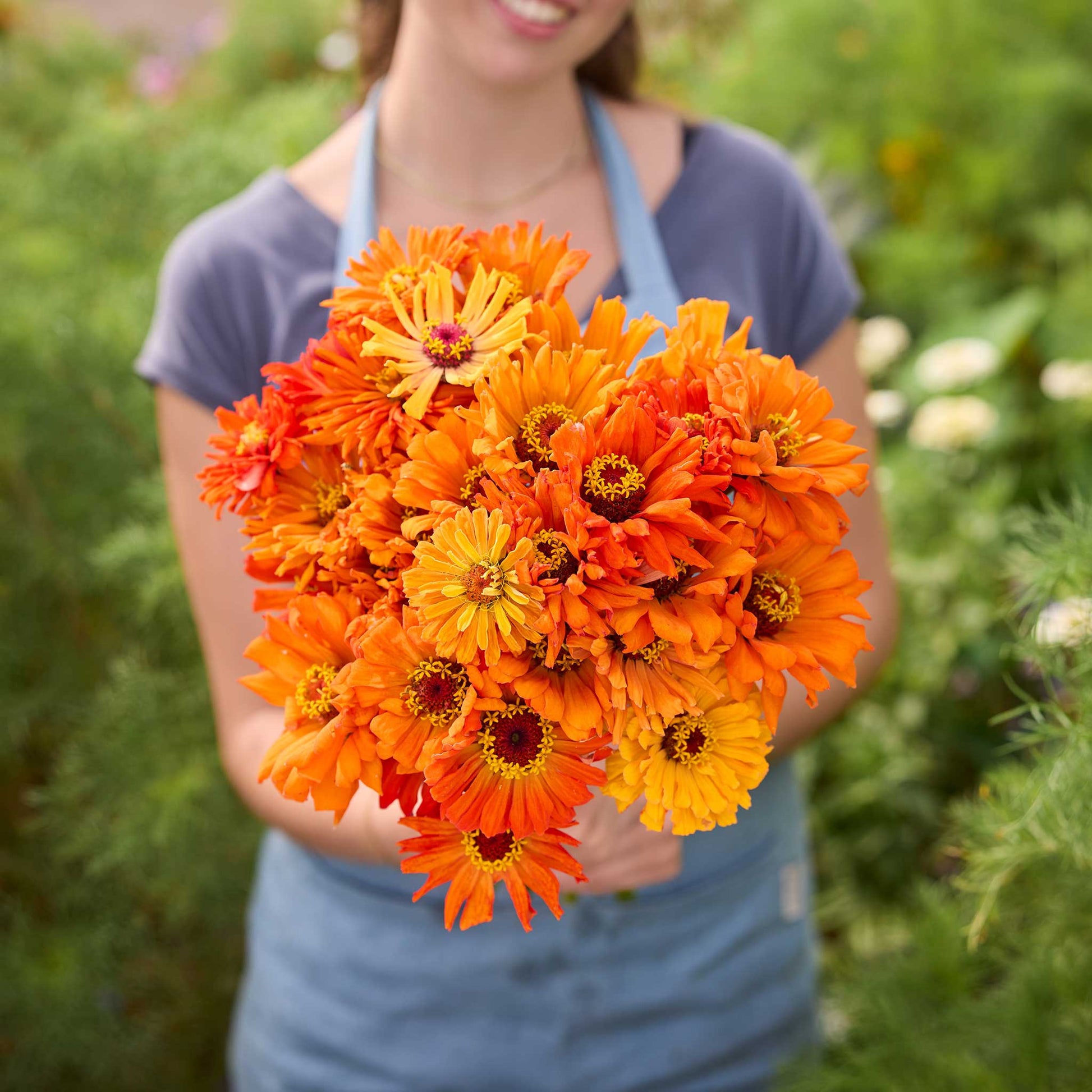 fast shipping garden seeds Bulk Zinnia Seeds - Jazzy Red