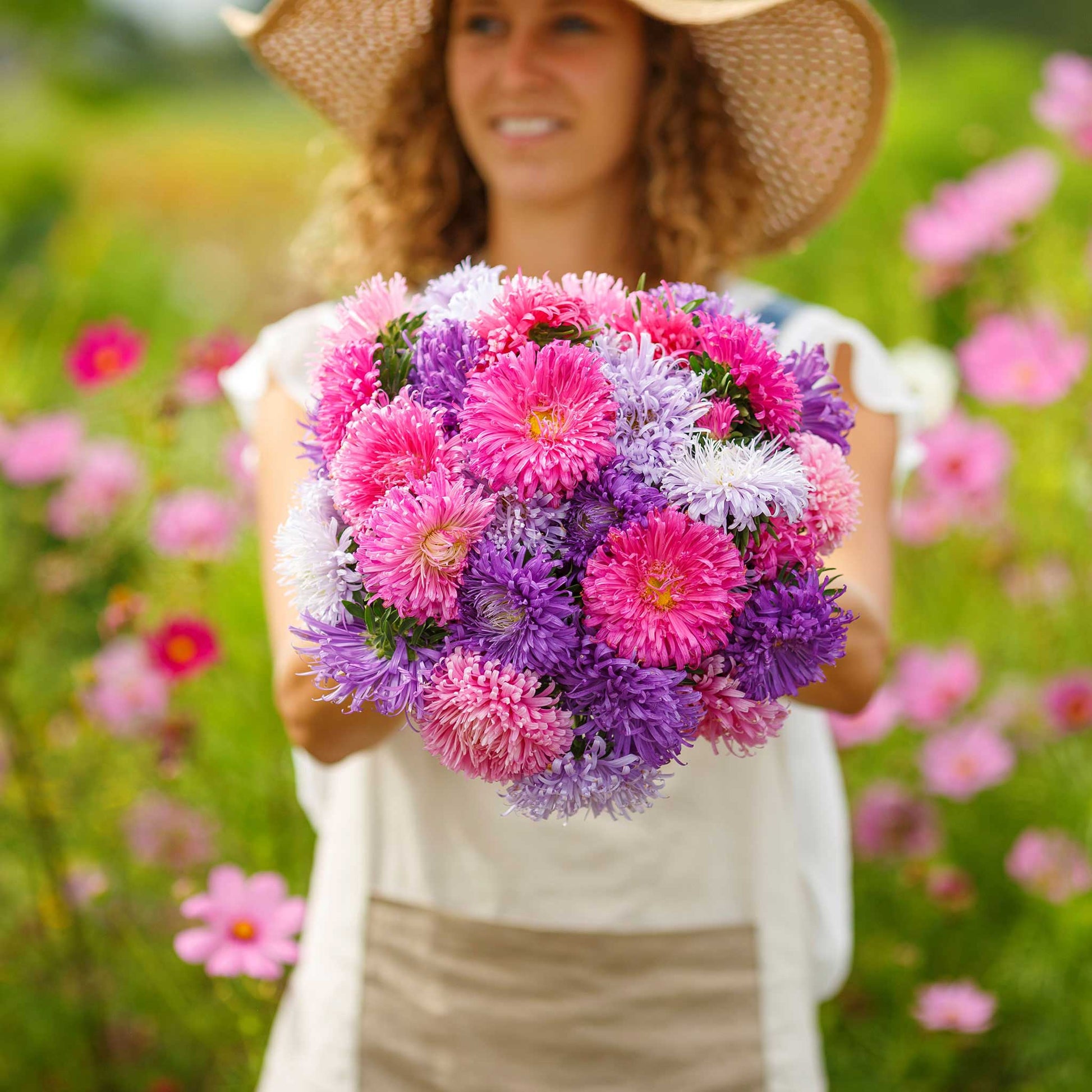 planting china aster seeds Bulk China Aster Seeds