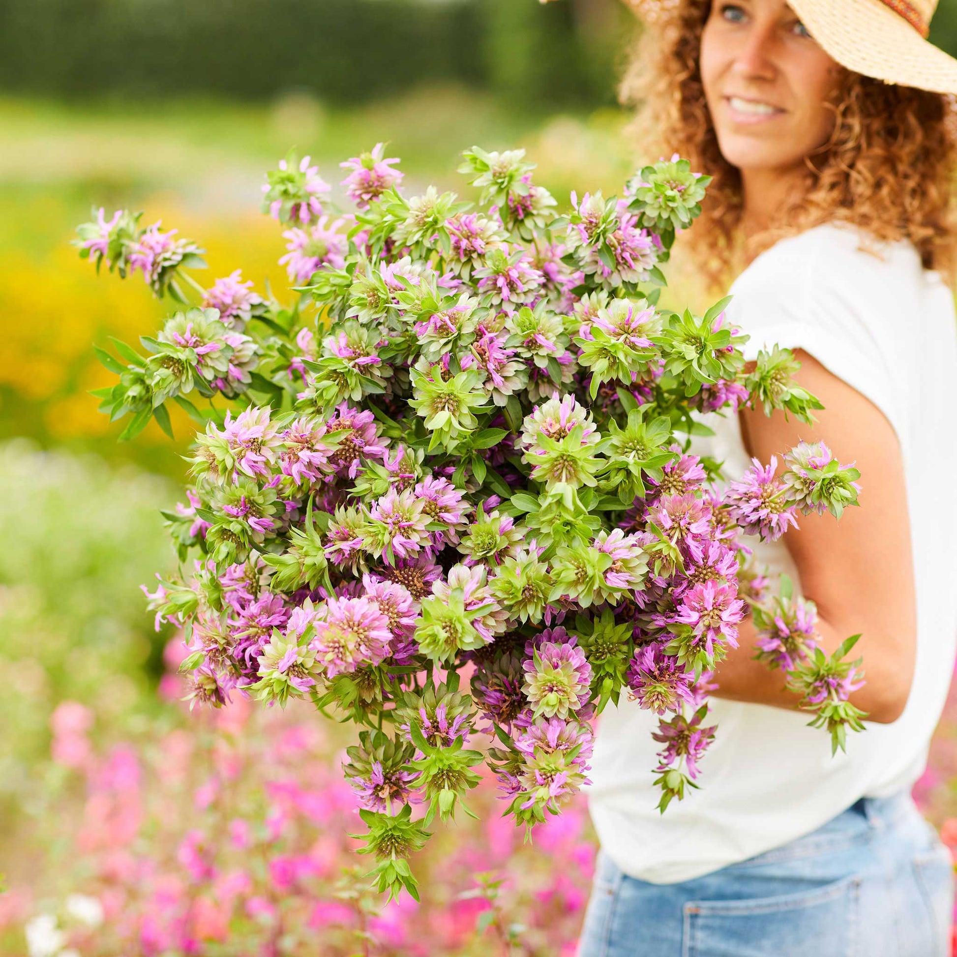 garden mint seeds Bulk Lemon Mint Seeds 1 Pound