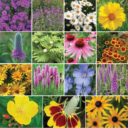 midwest perennial mix