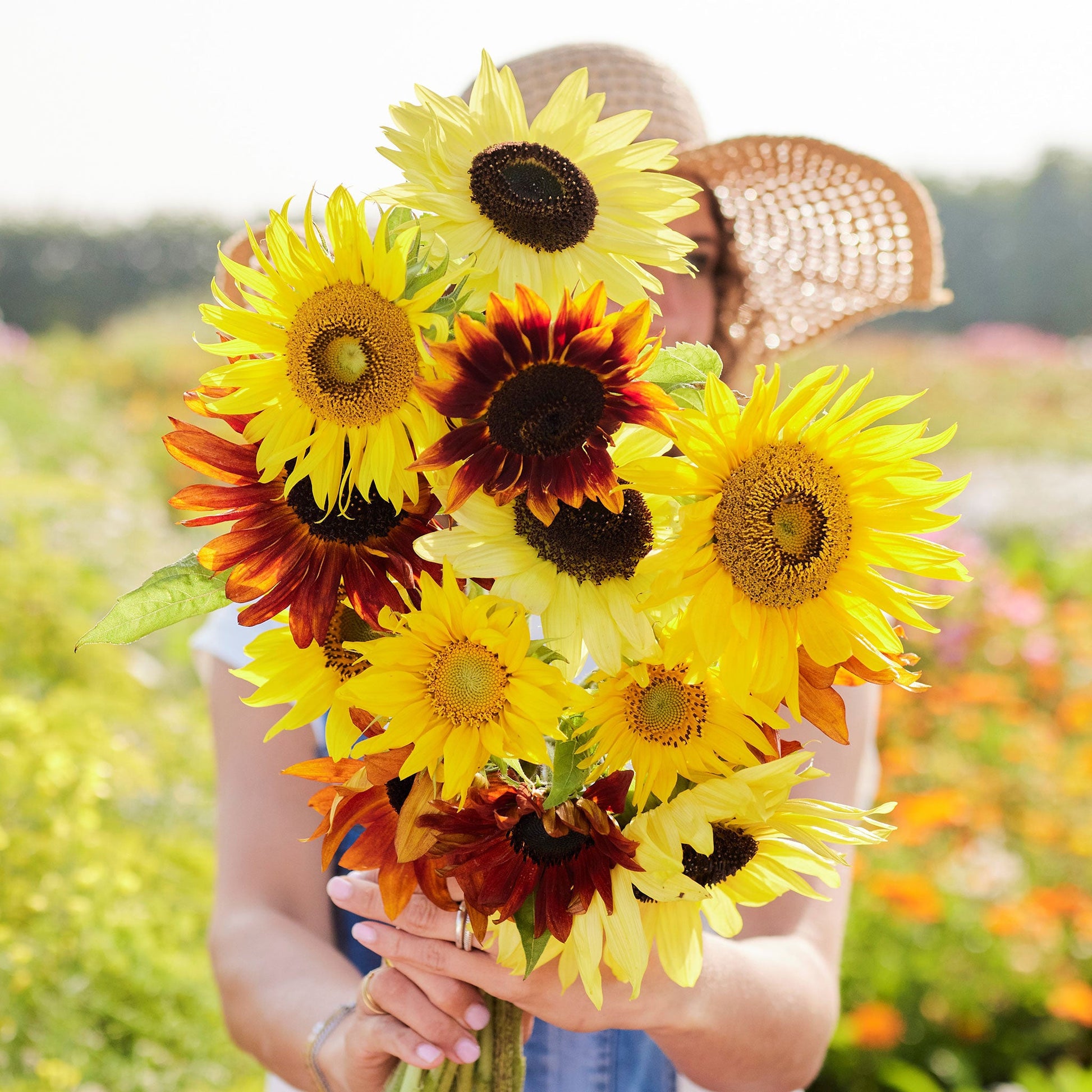 sunflower seeds to plant bulk Bulk Sunflower Seeds - Formula Mix