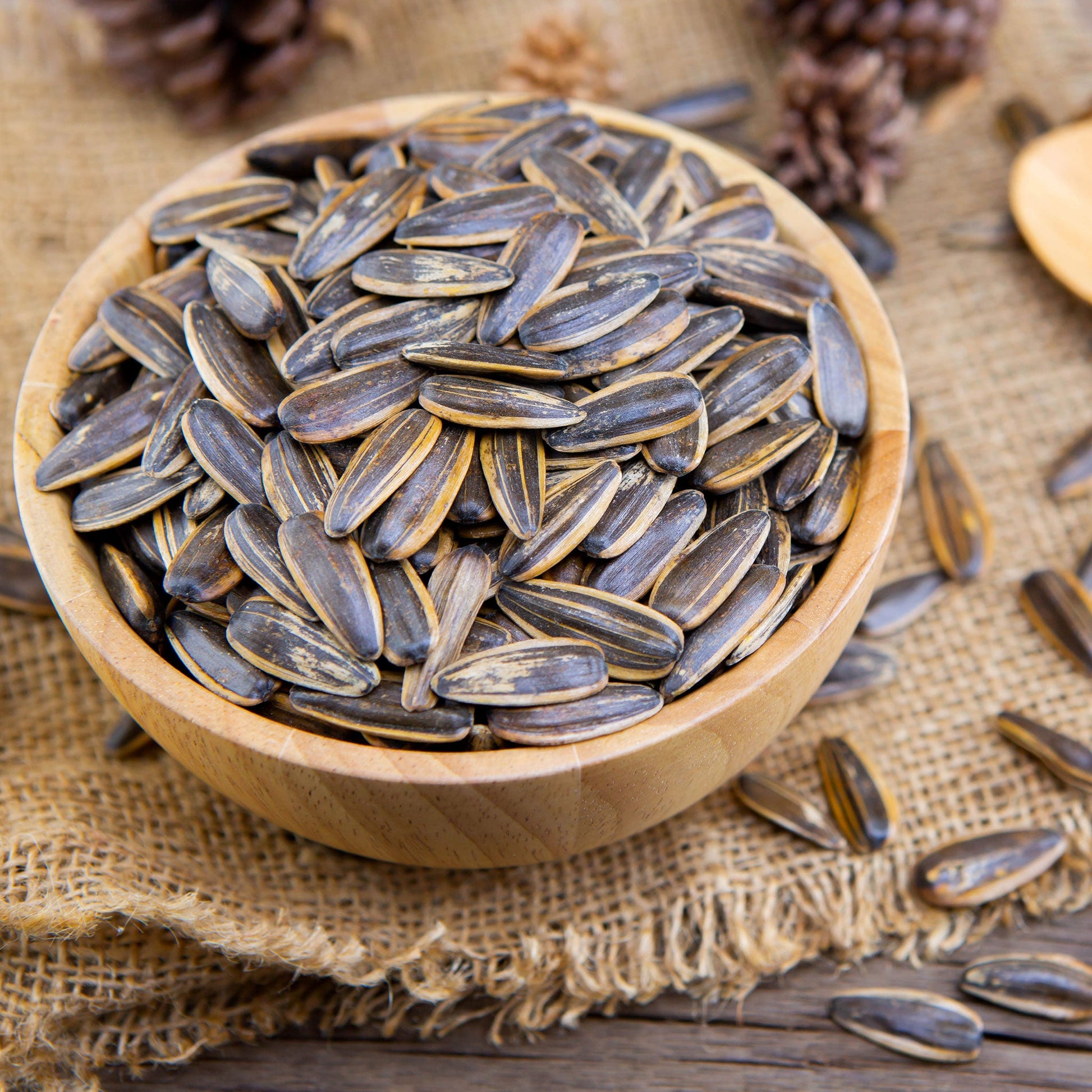 grey striped sunflower seeds for planting Bulk Sunflower Seeds