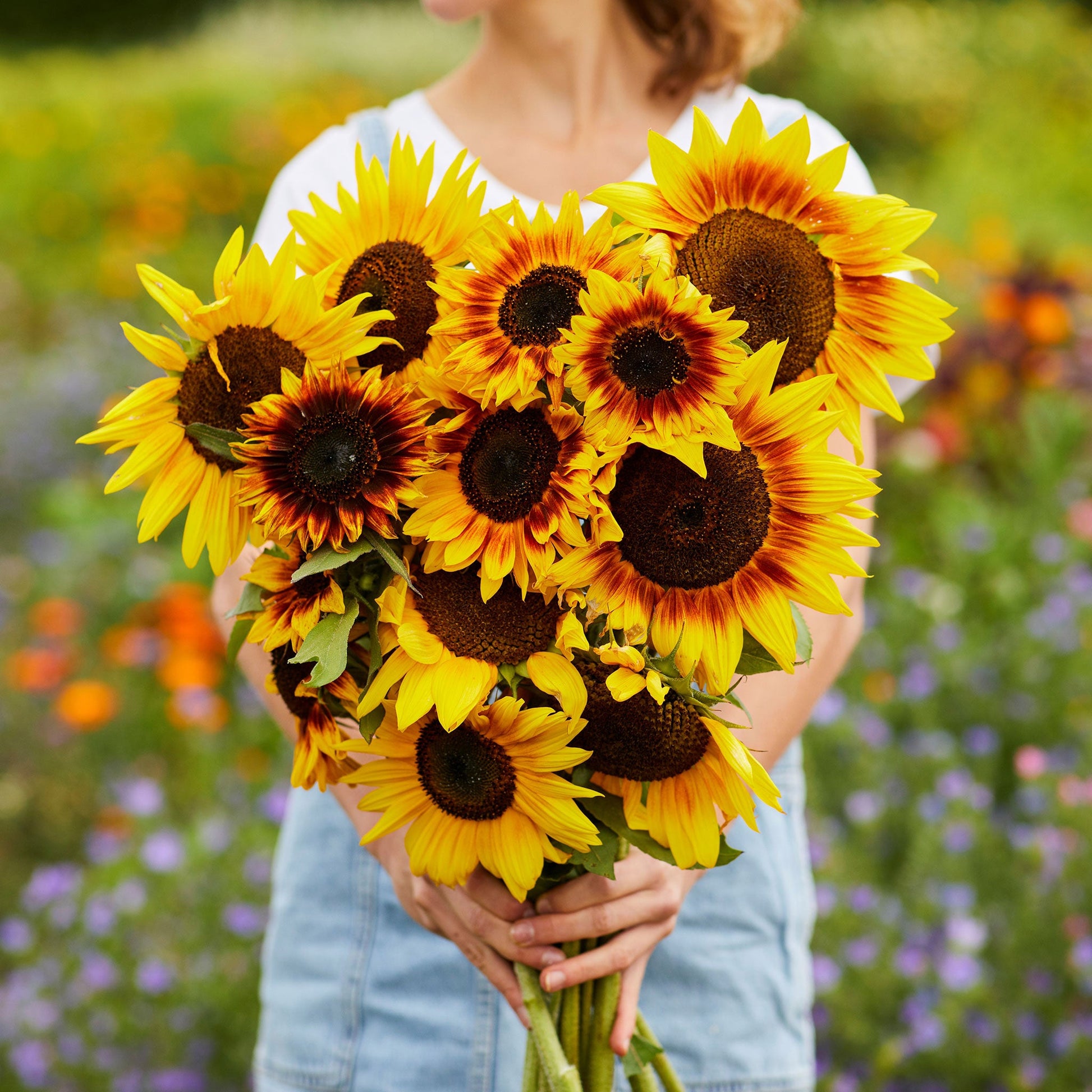 bulk planting sunflower seeds Bulk Sunflower Seeds
